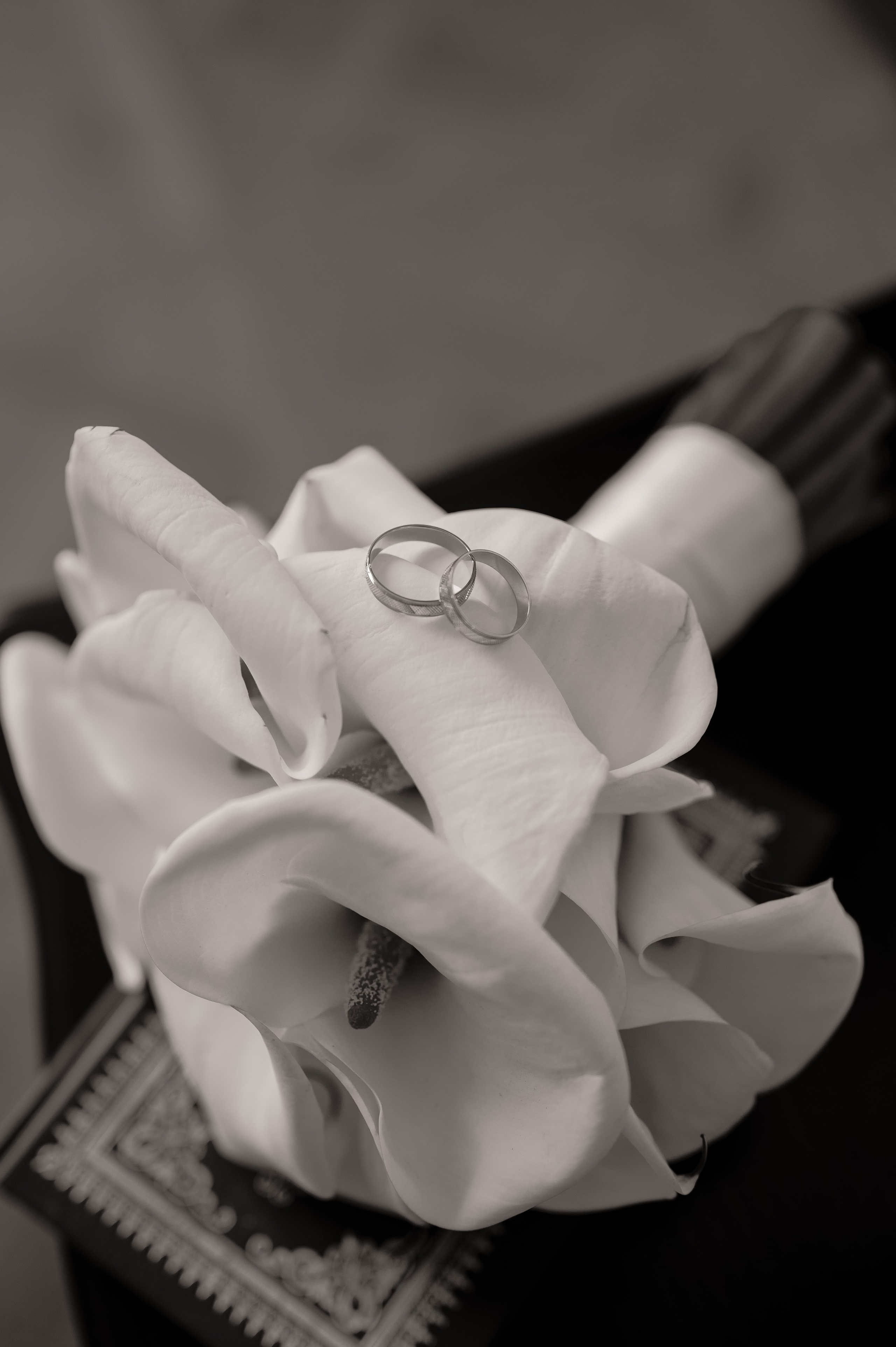 Загс (студия и прогулка). Свадебный и семейный фотограф в Краснодаре Алина Мельник