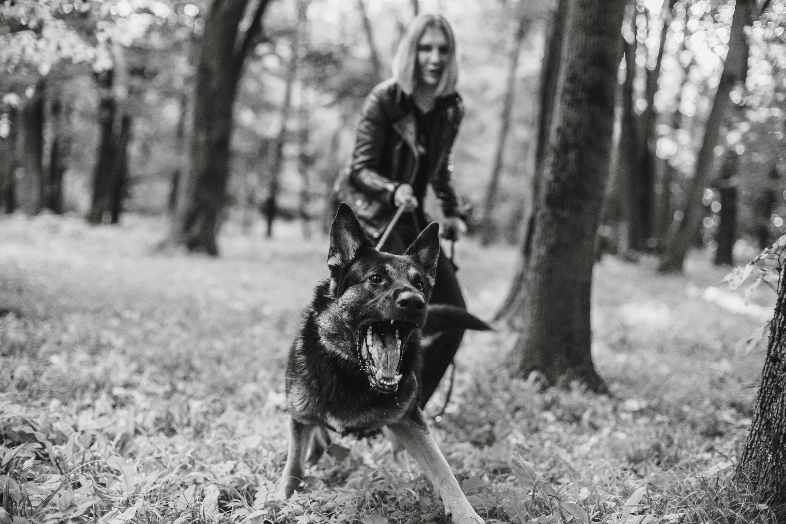 Илай. Фотограф-анималист Татьяна Степанова
