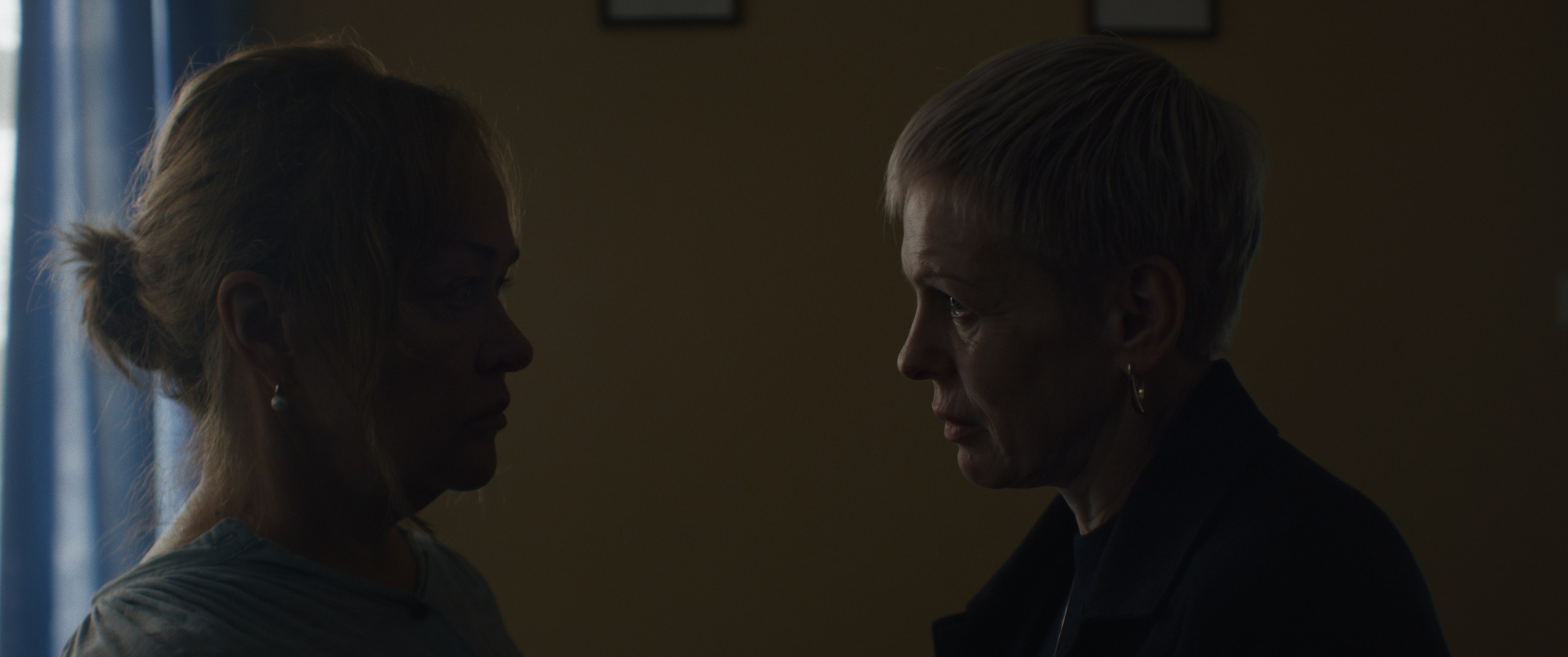 Тень (short film). Colorist Ivan Serzhanov