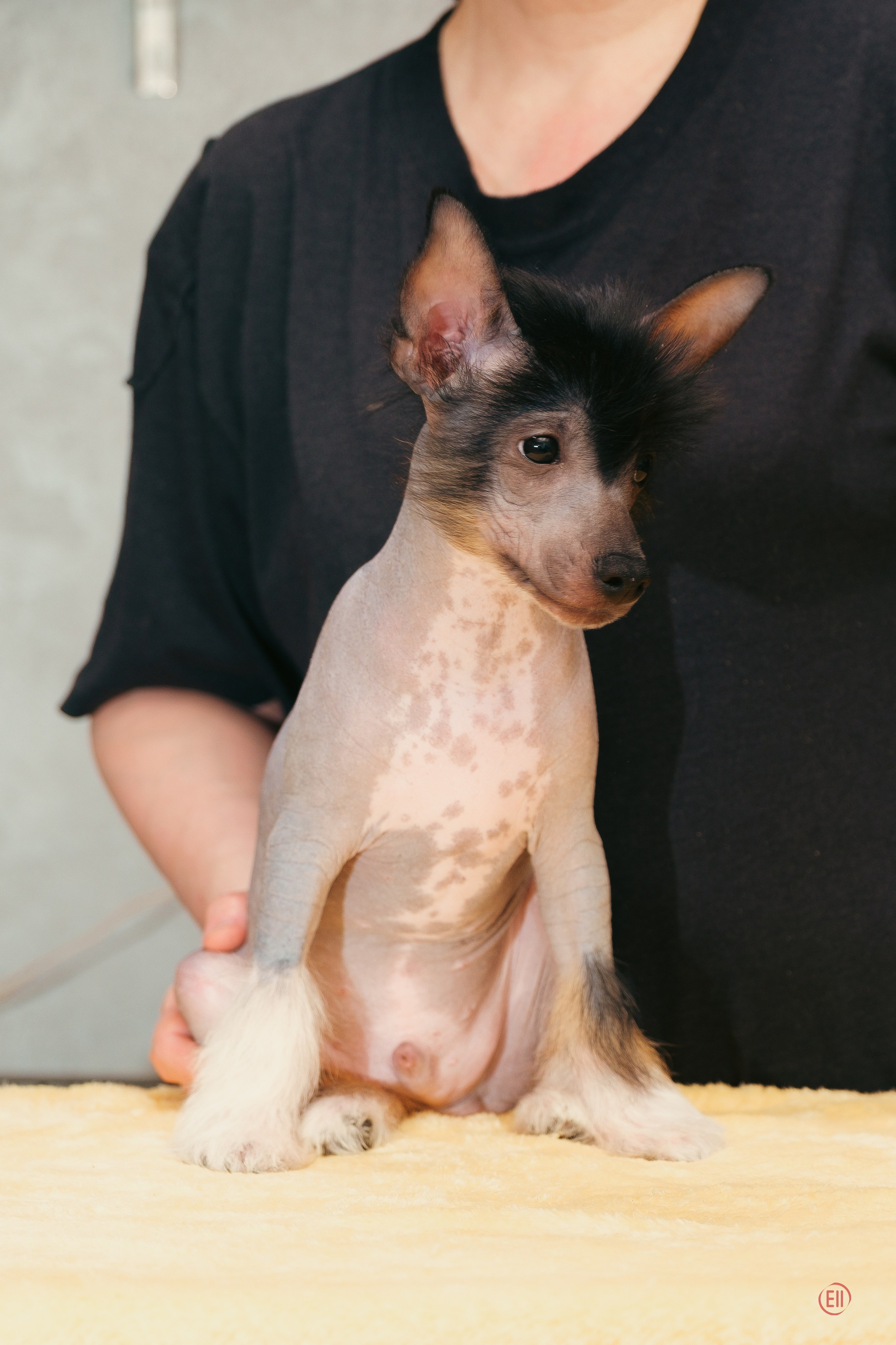 Помёт V. Фотосессия 2. 28.04.2024. Фотограф в Москве