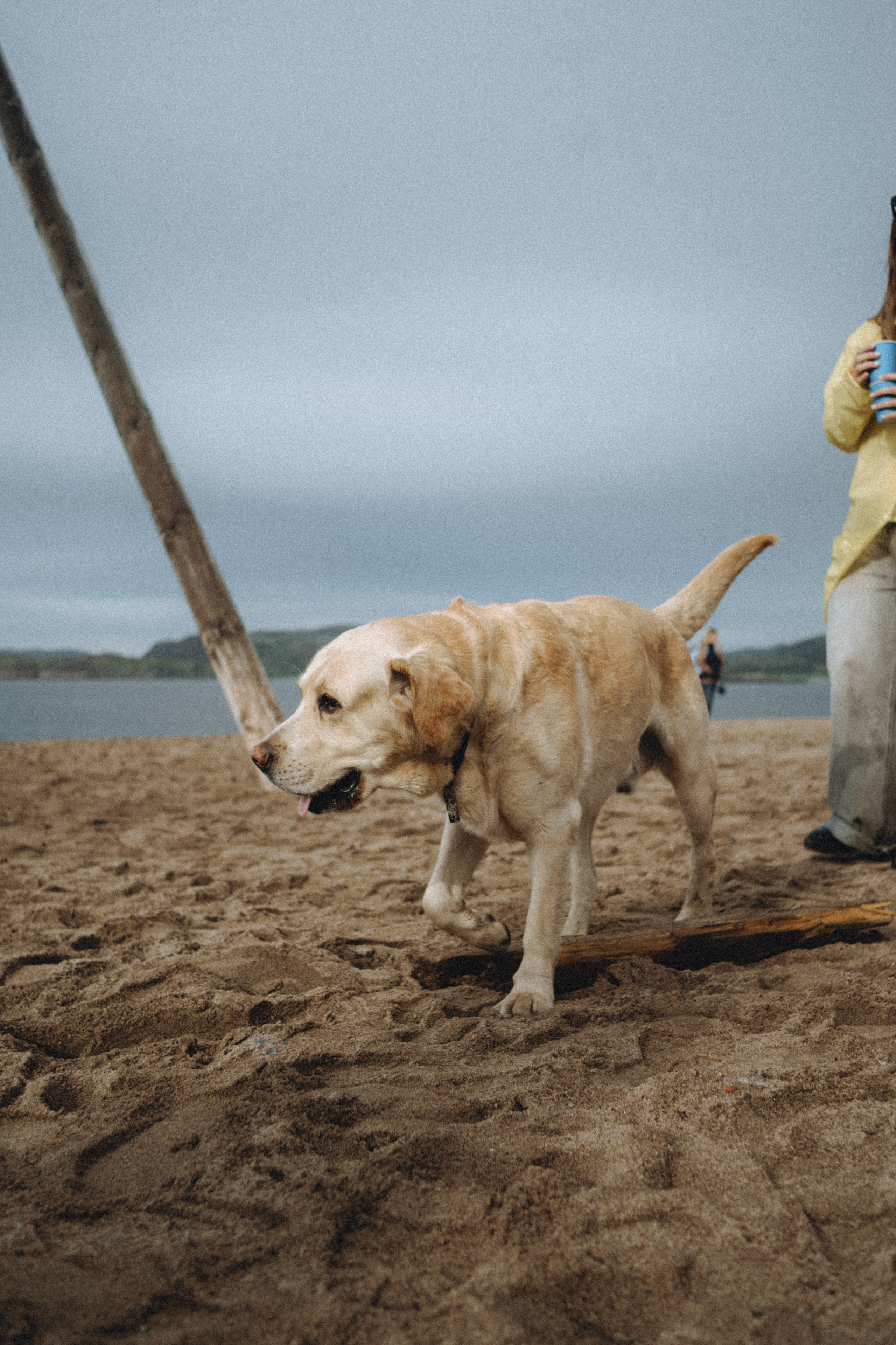 Териберка, Мурманск. Фотосъёмка для компании по организации туров в коллаборации с Яндекс 360
