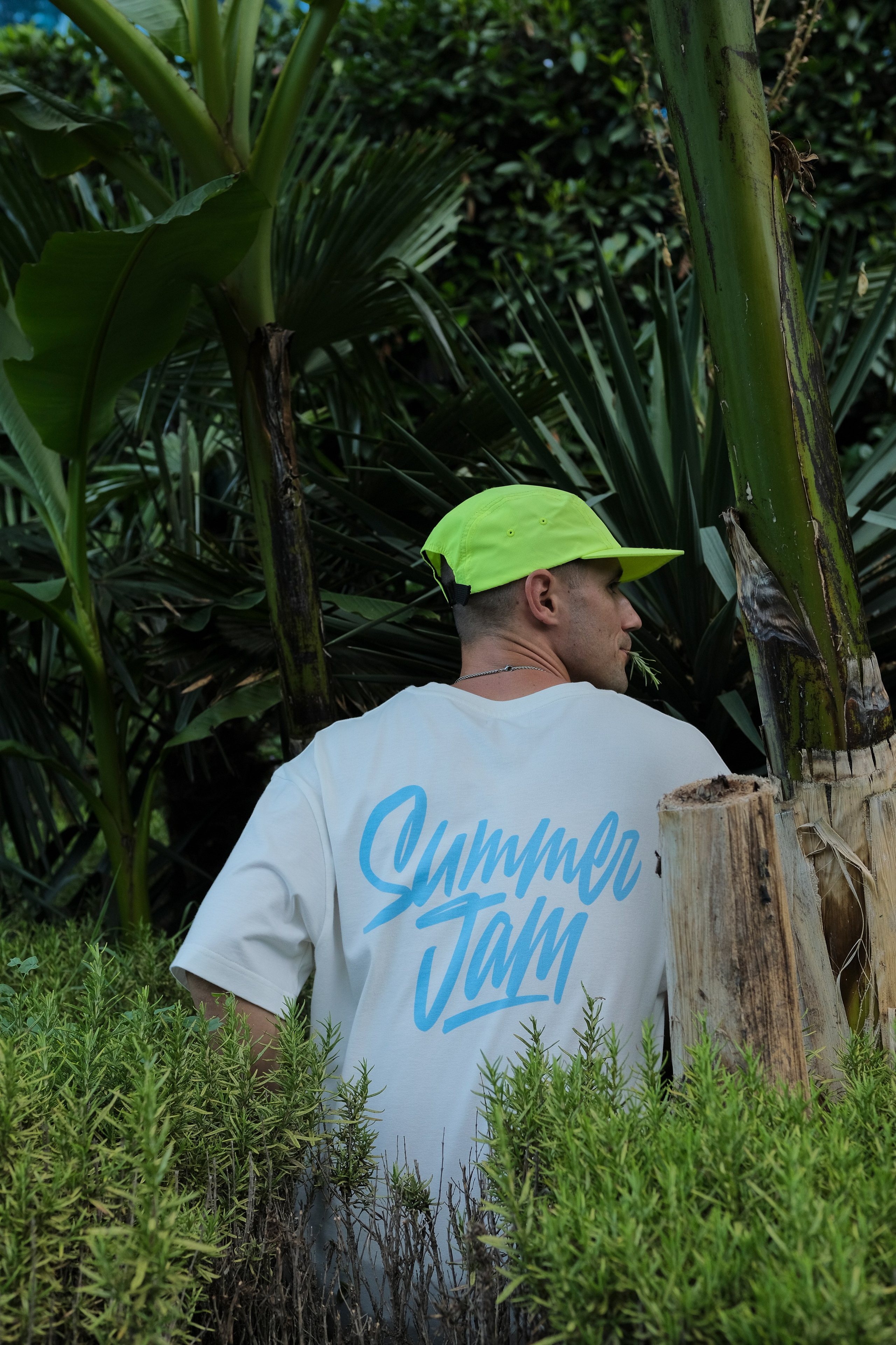 Fine & Summer Jam. Фотограф, видеограф в Санкт-Петербурге