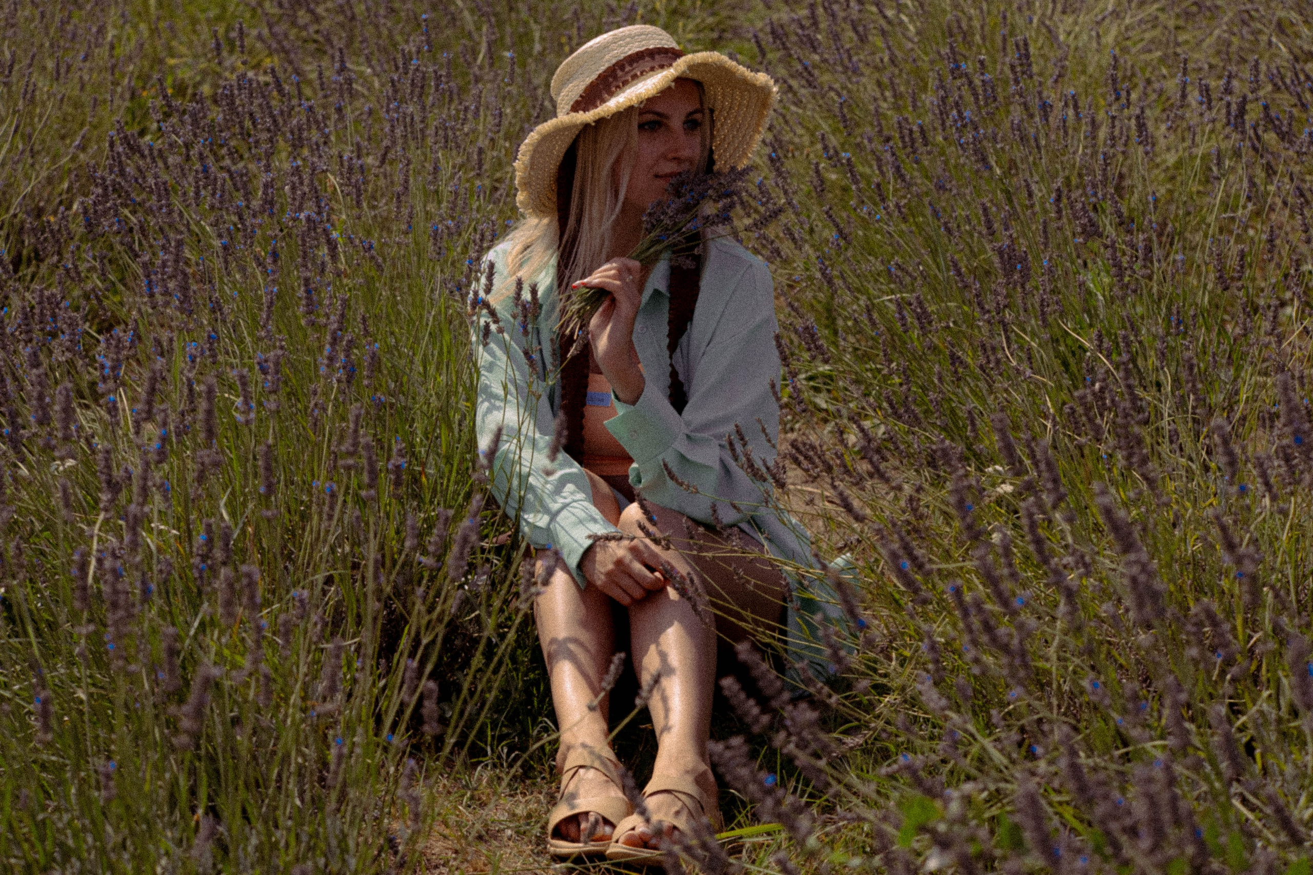 ЛАВАНВОДОВОЕ ПОЛЕ. Профессиональный фотограф, Санкт-Петербург — Виктория Богомолова