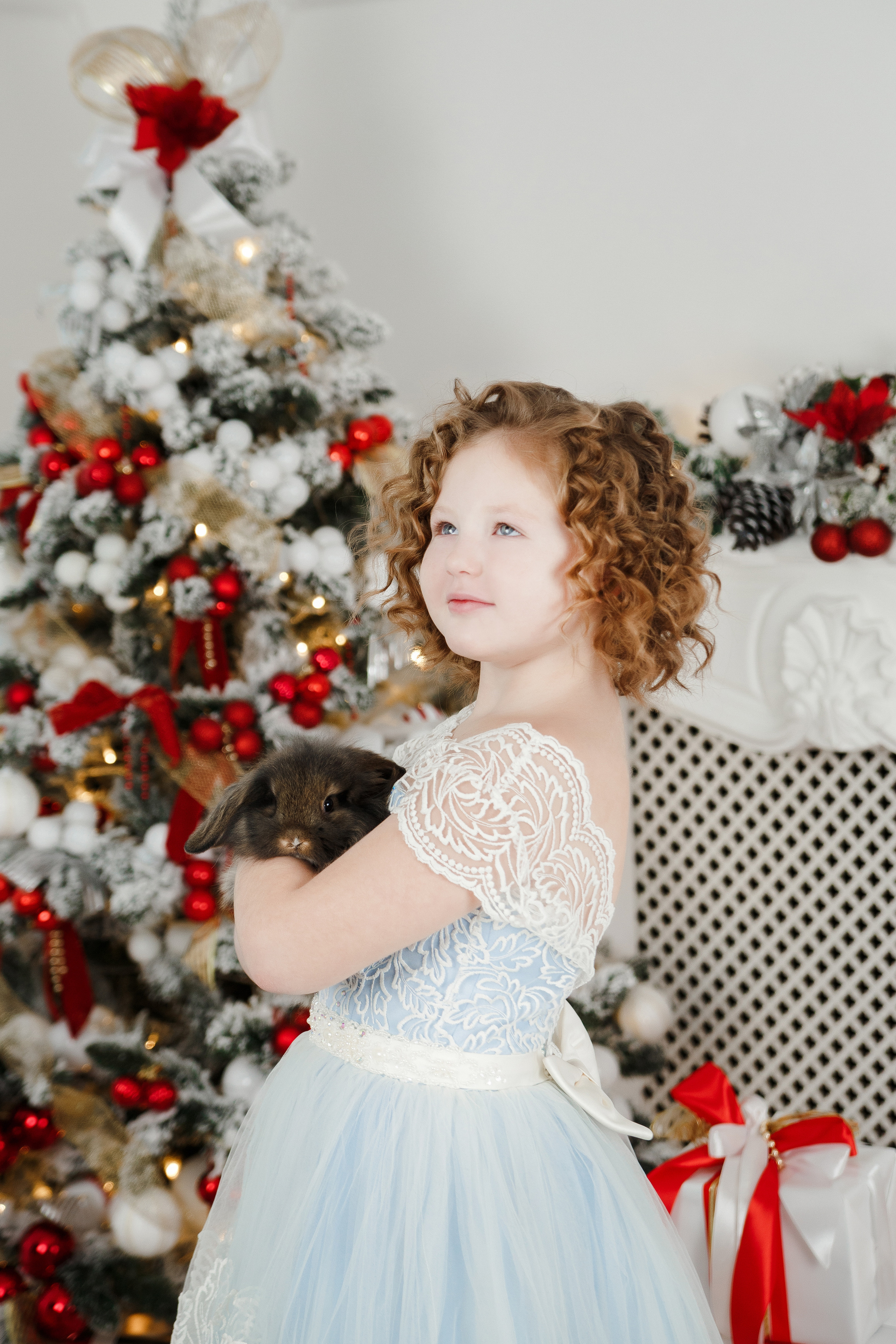 Фотопроект "Новый год для принцесс"