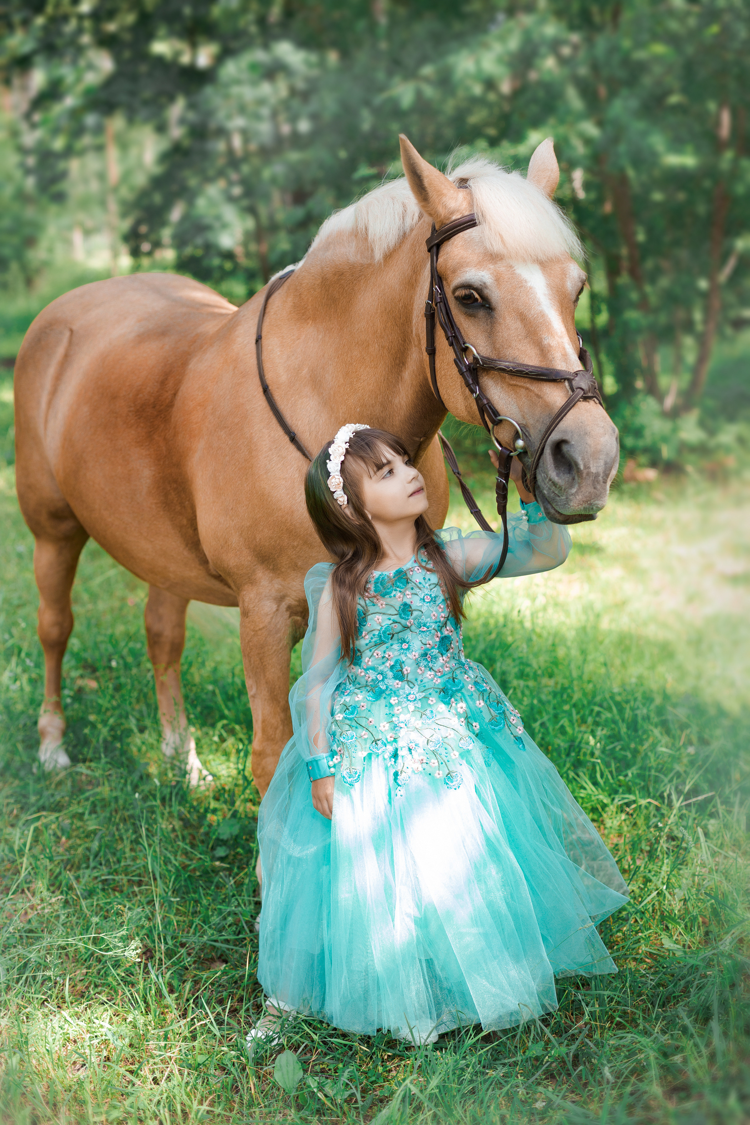 Фотопроект "Horse"