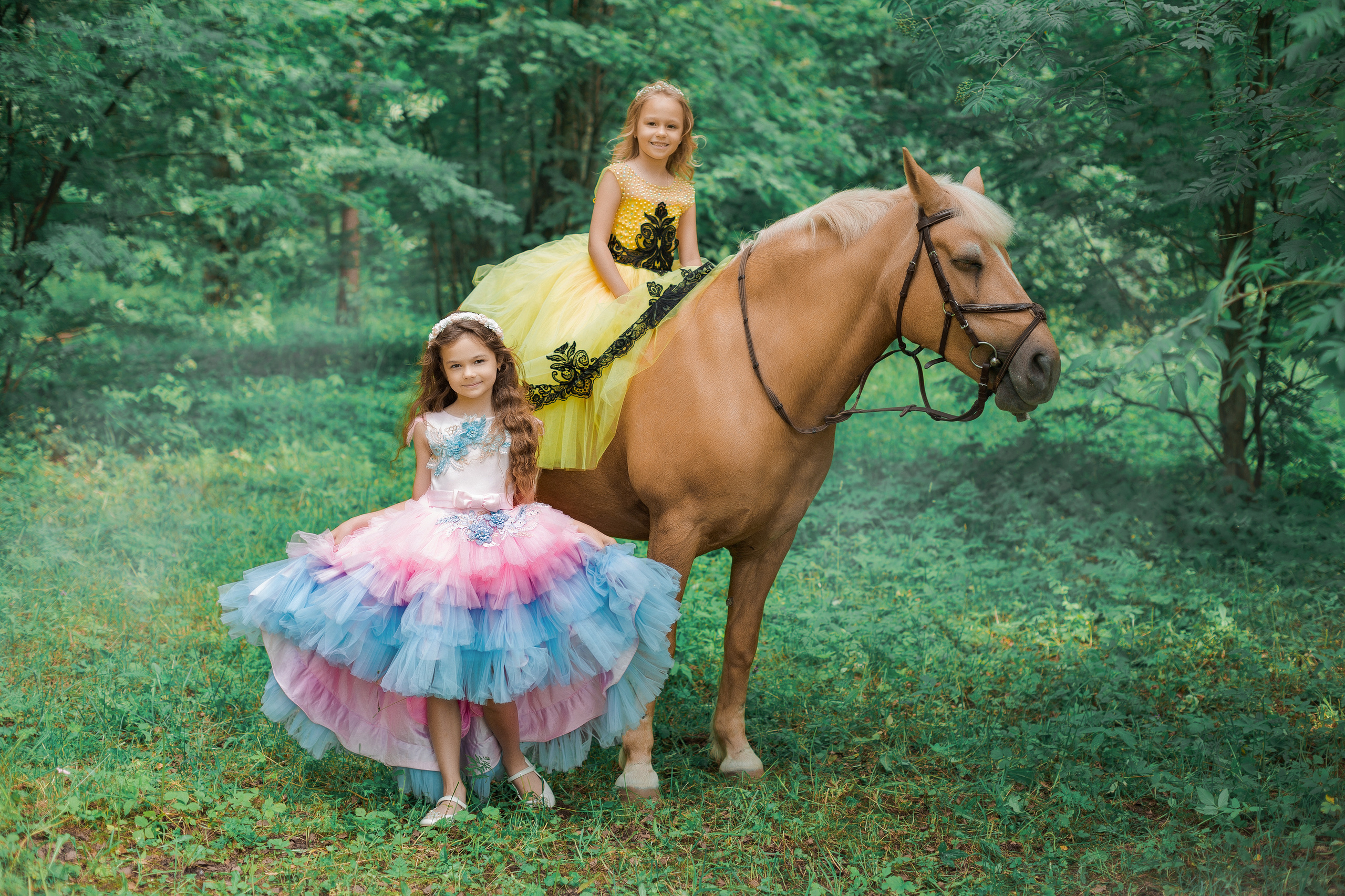 Фотопроект "Horse"