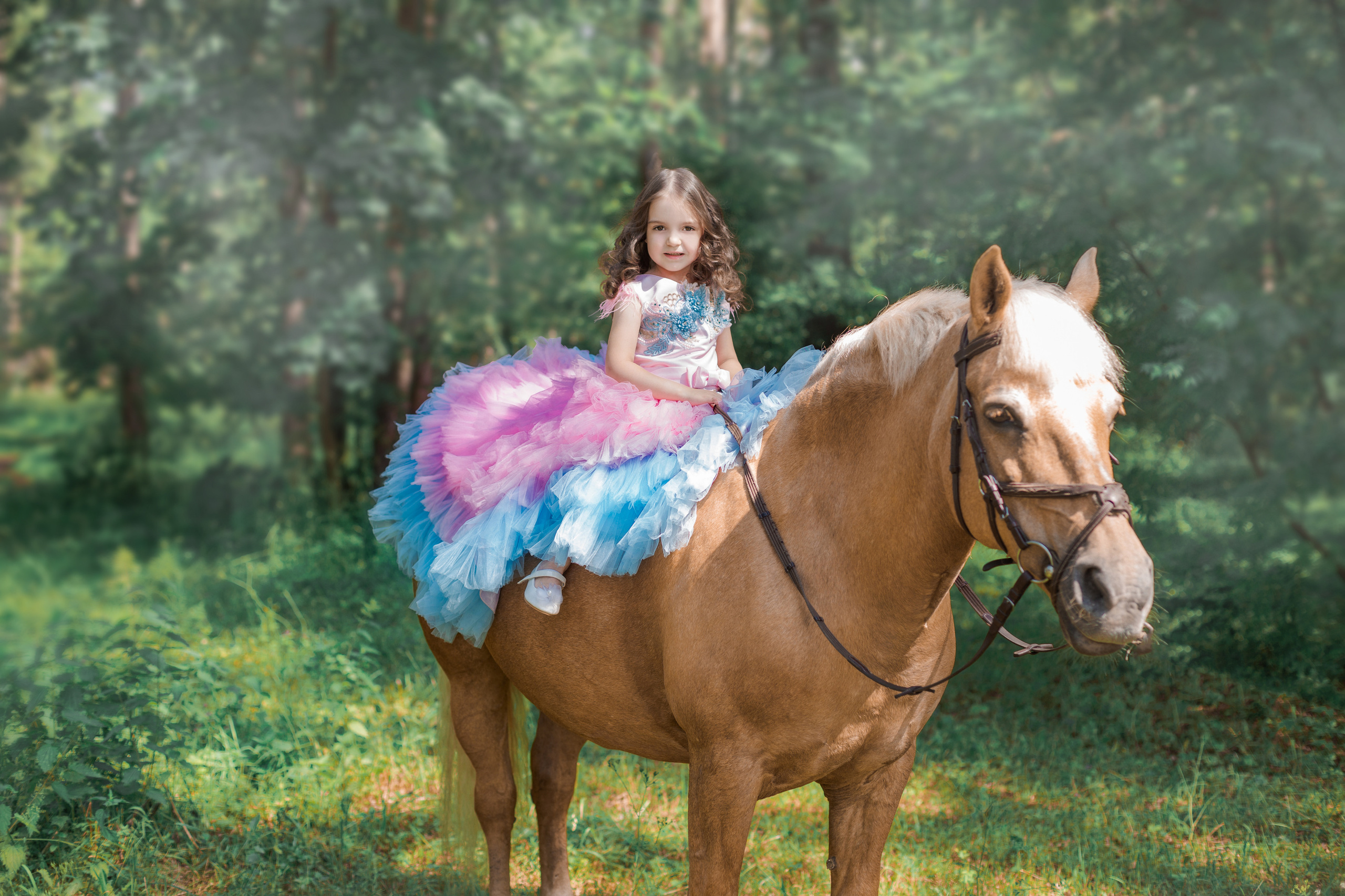 Фотопроект "Horse"