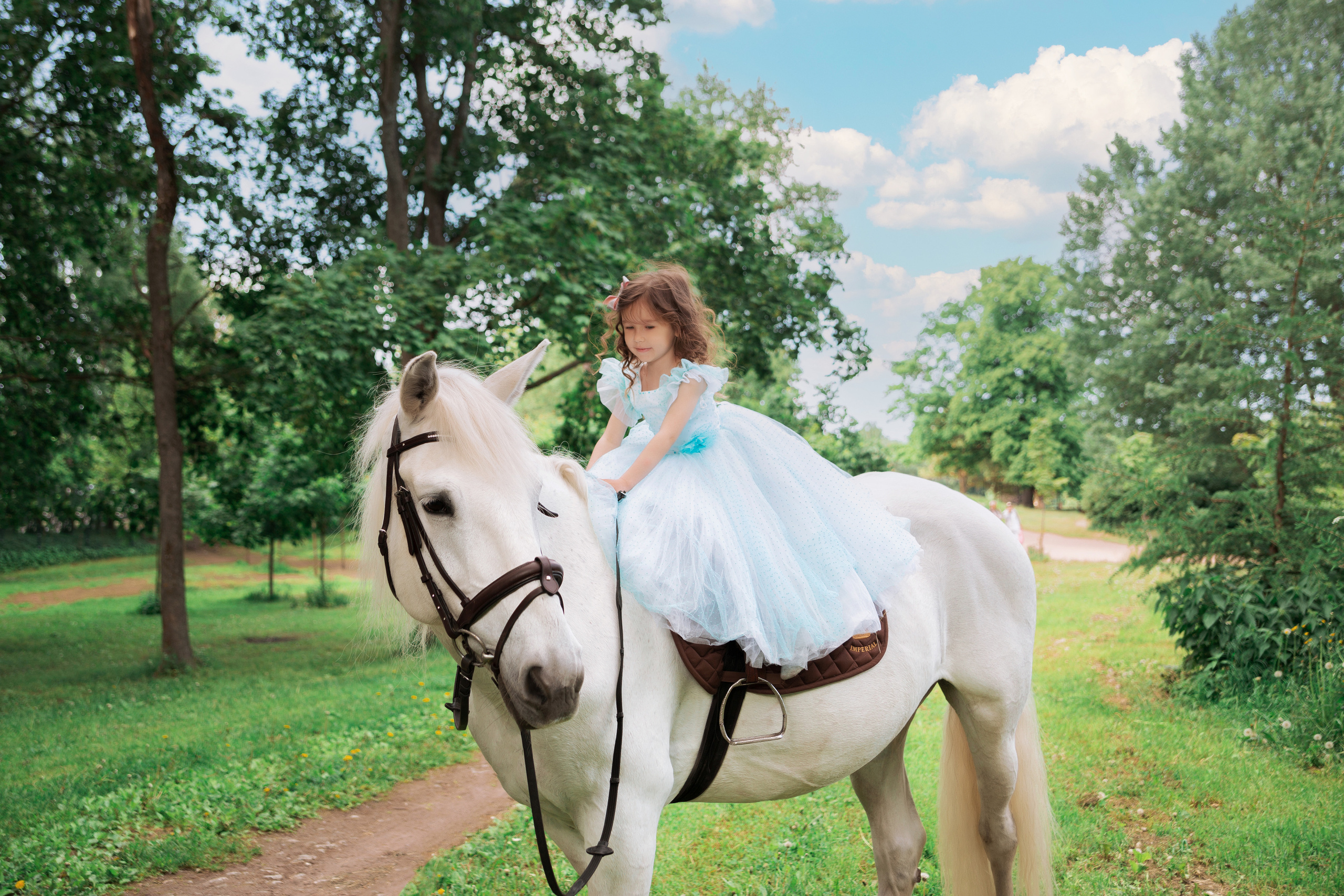 Фотопроект "Horse"