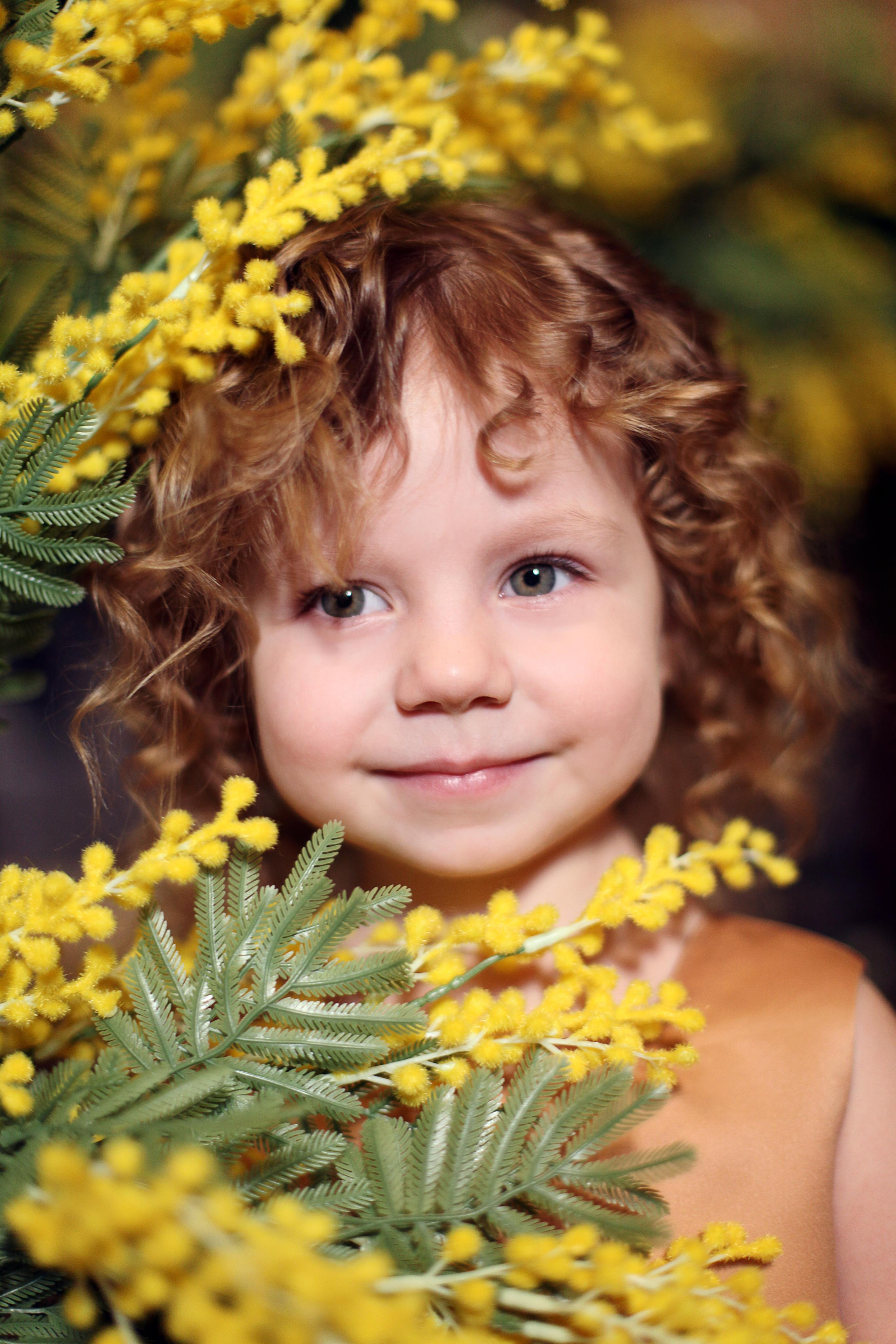 Фотопроект "Мимоза"