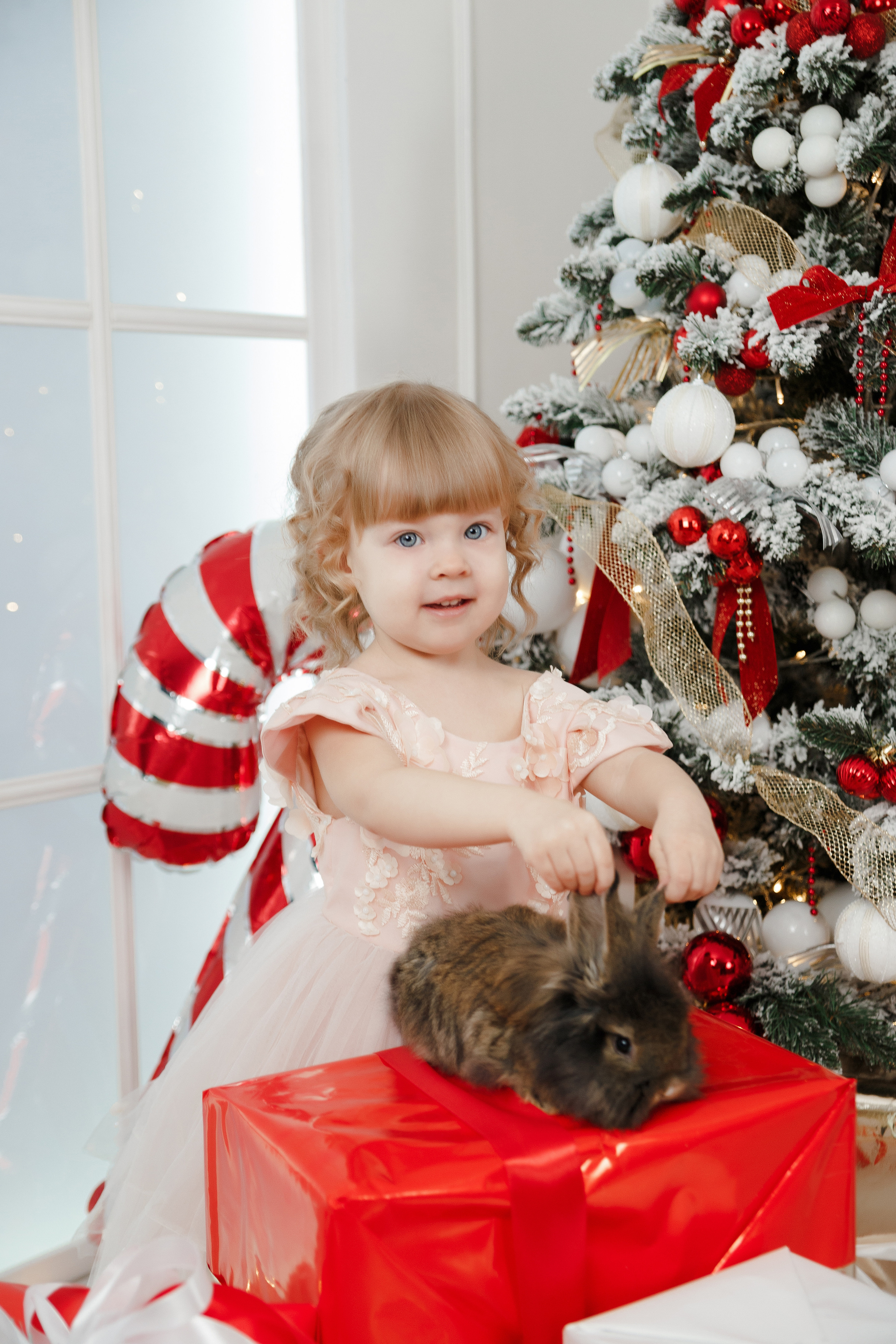 Фотопроект "Новый год для принцесс"