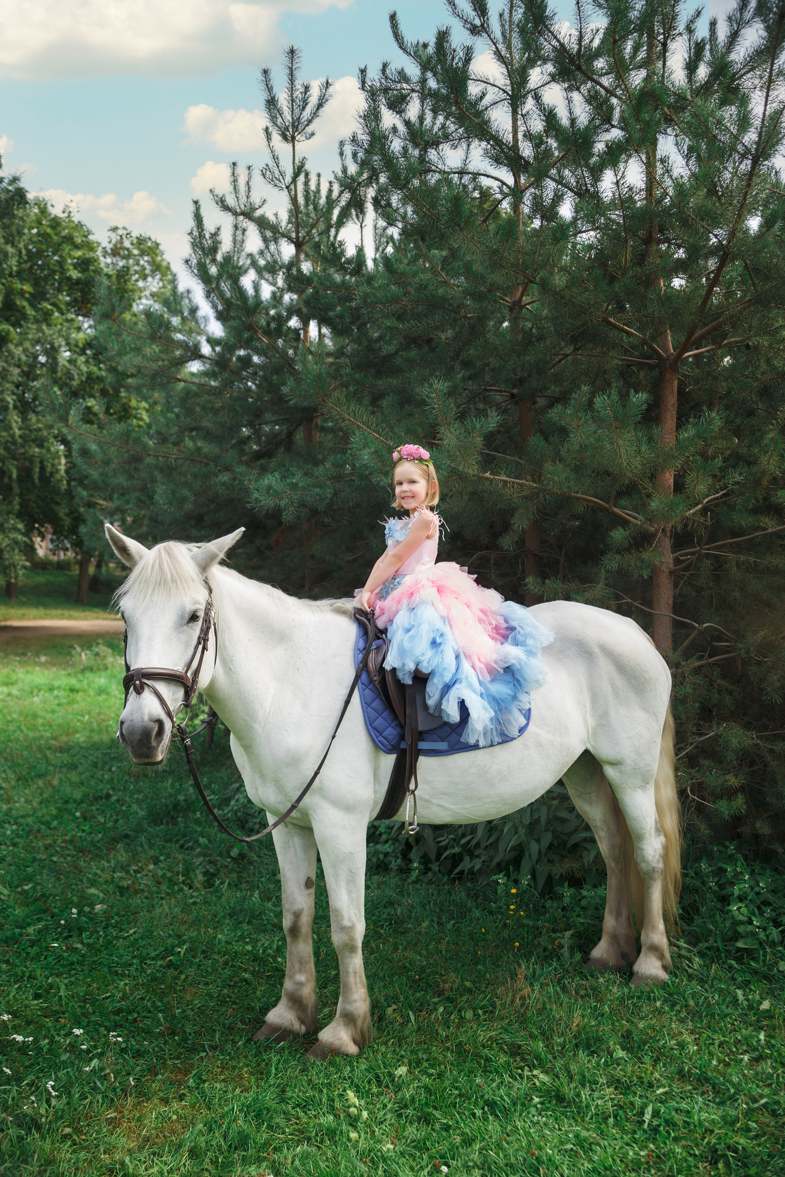 Фотопроект "Horse"