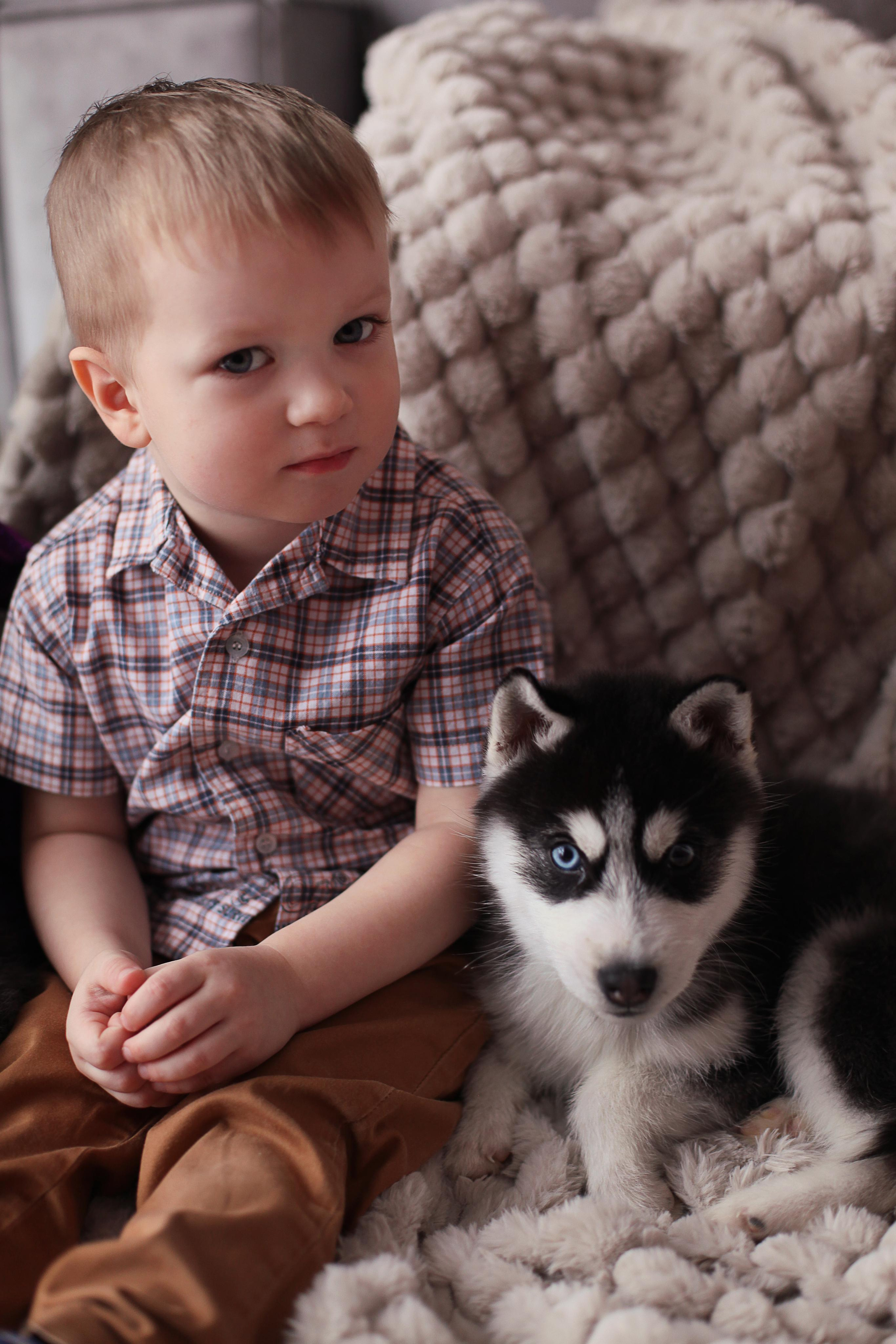 Фотопроект "Хаски" с Татьяной