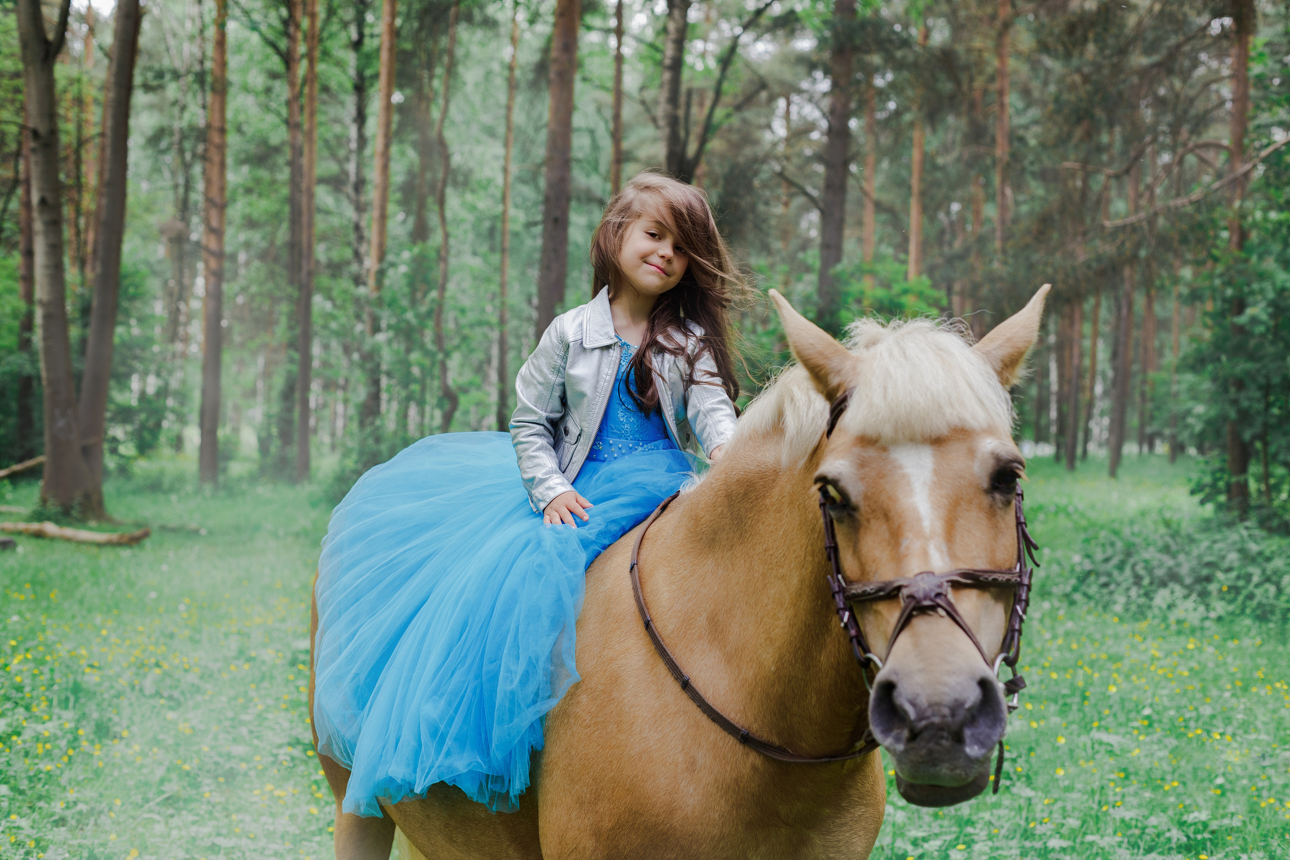 Фотопроект "Horse"