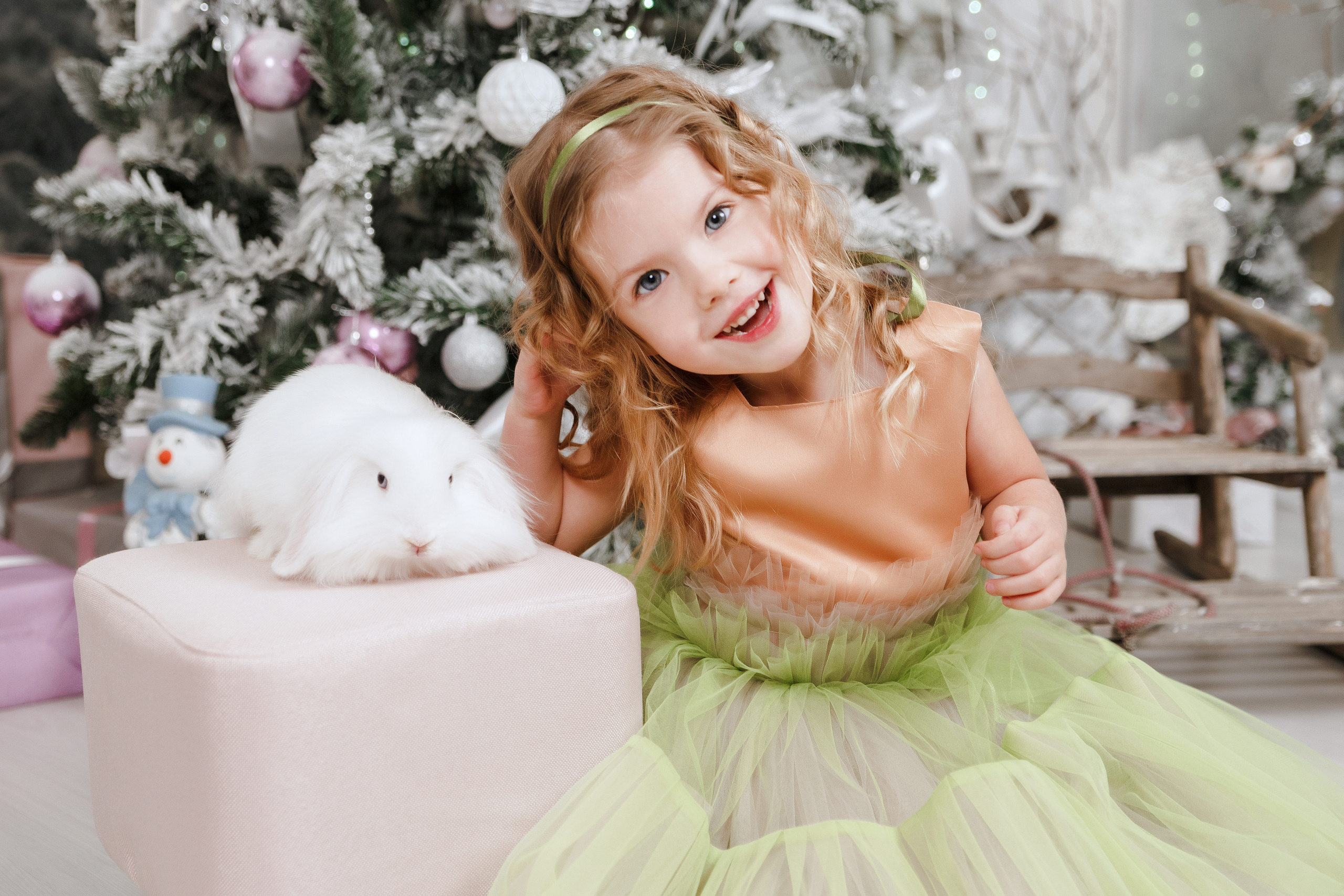 Фотопроект "Новый год для принцесс"