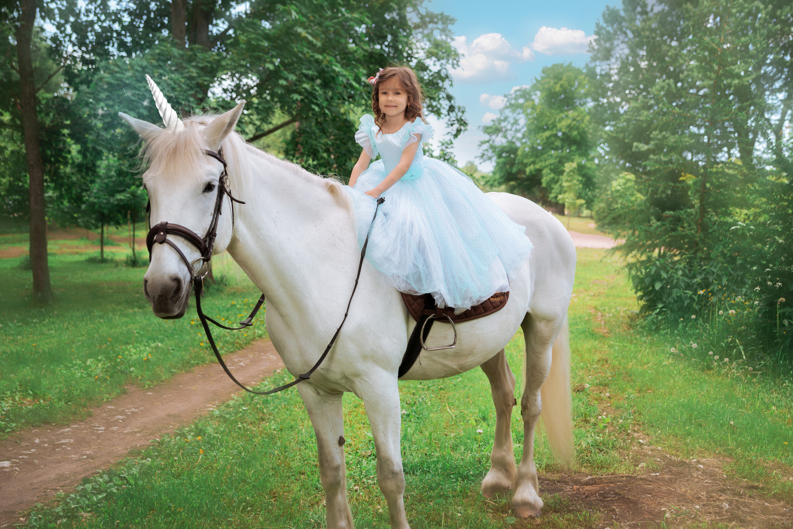 Фотопроект "Horse"