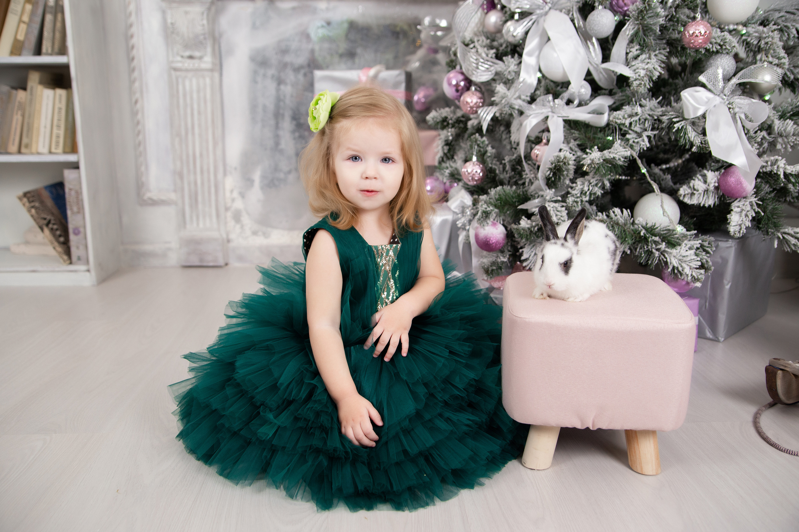 Фотопроект "Новый год для принцесс"