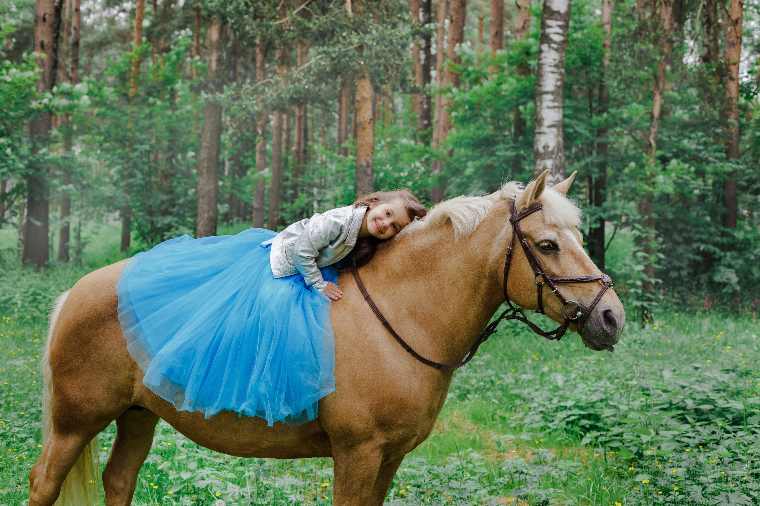 Фотопроект "Horse"