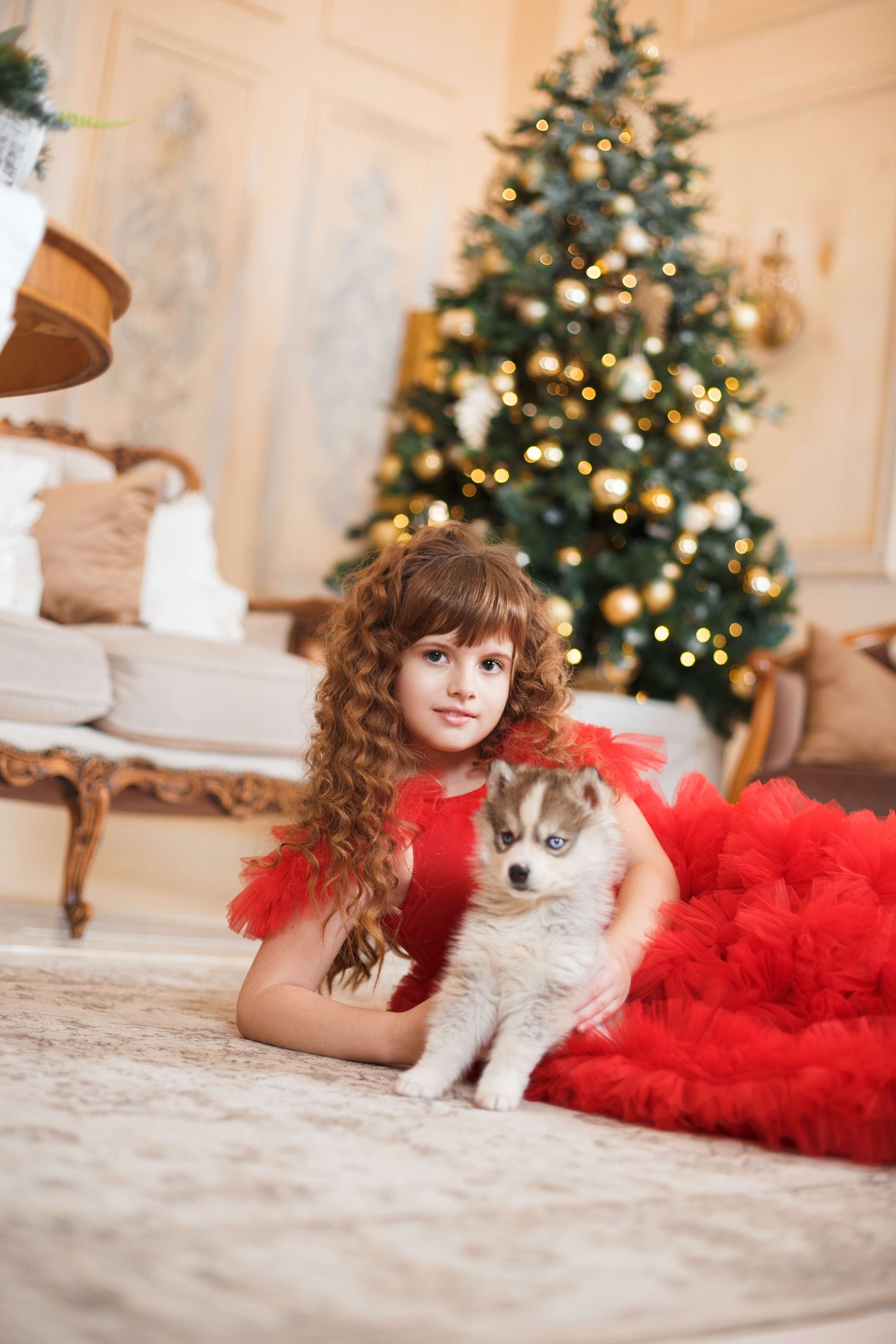 Фотопроект "Хаски" с Татьяной