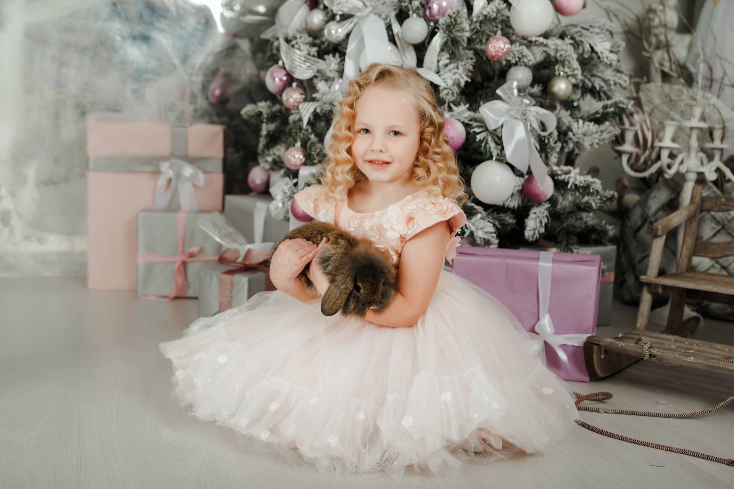 Фотопроект "Новый год для принцесс"