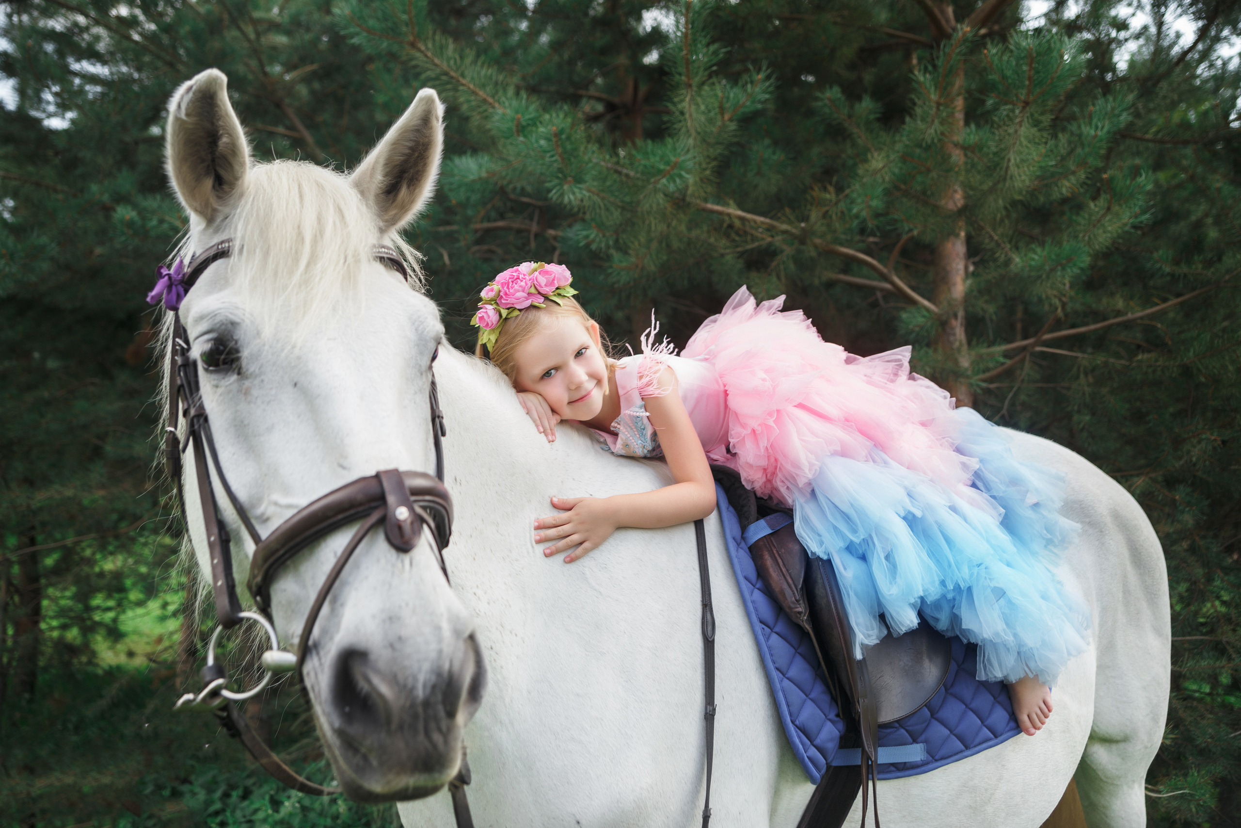 Фотопроект "Horse"