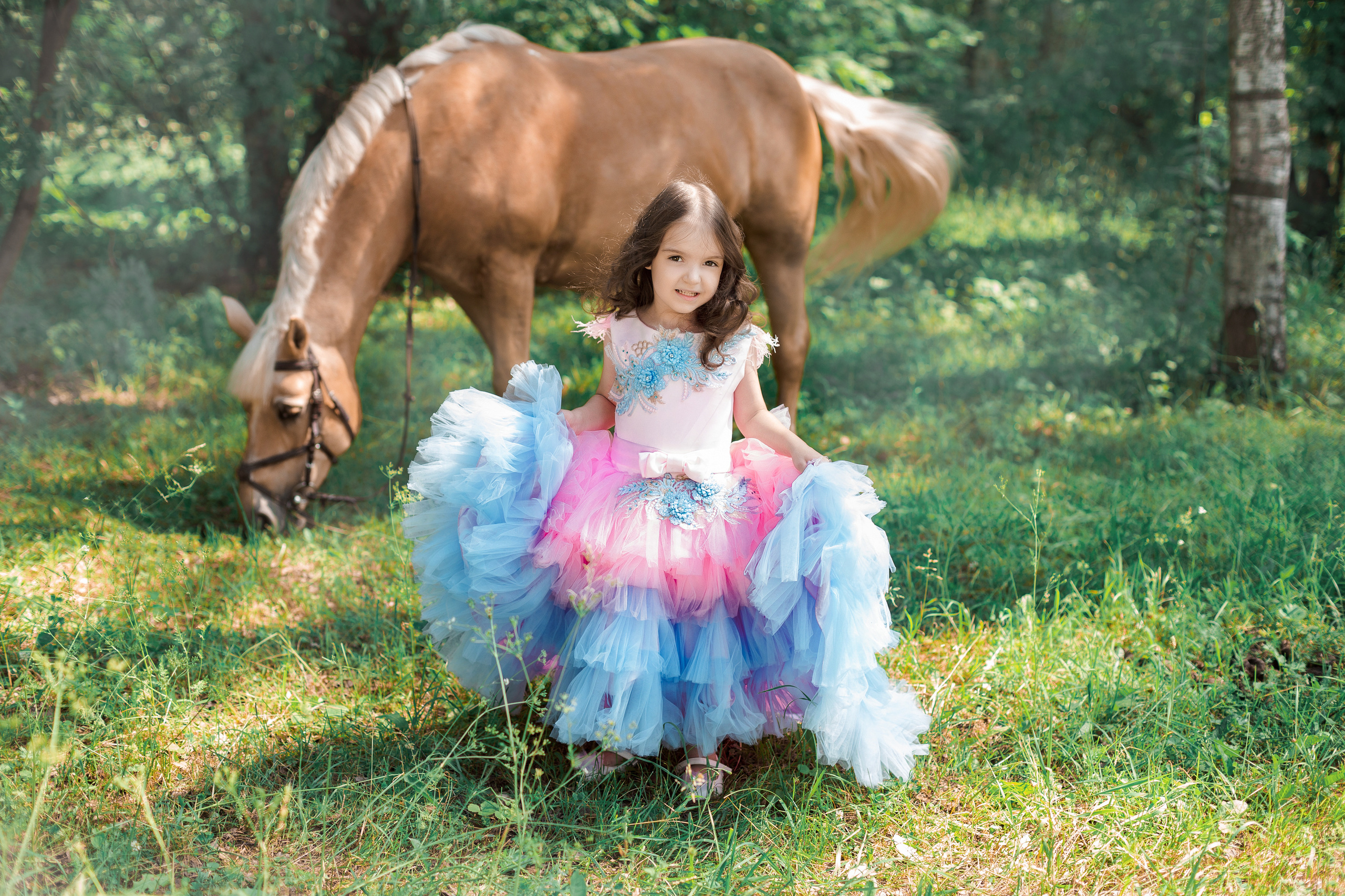 Фотопроект "Horse"