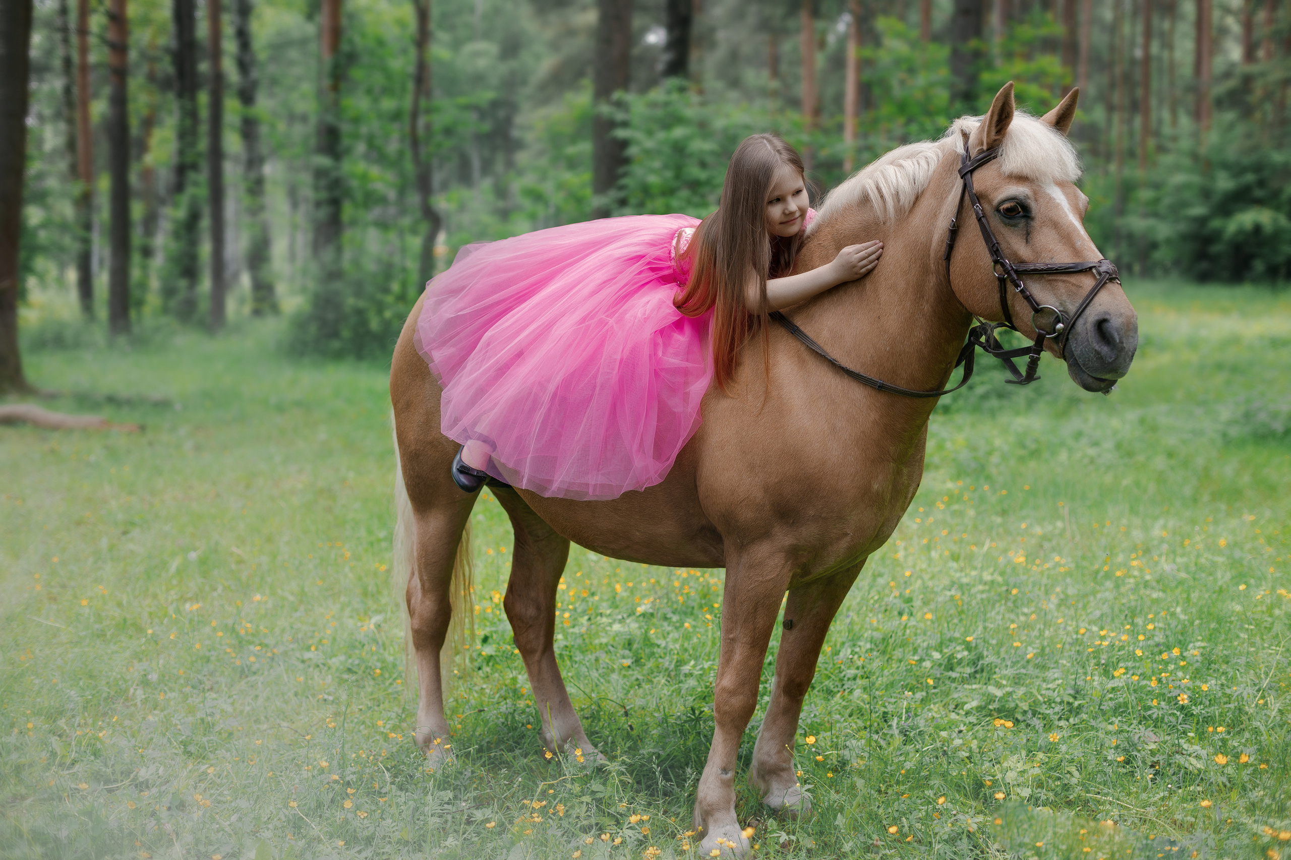 Фотопроект "Horse"