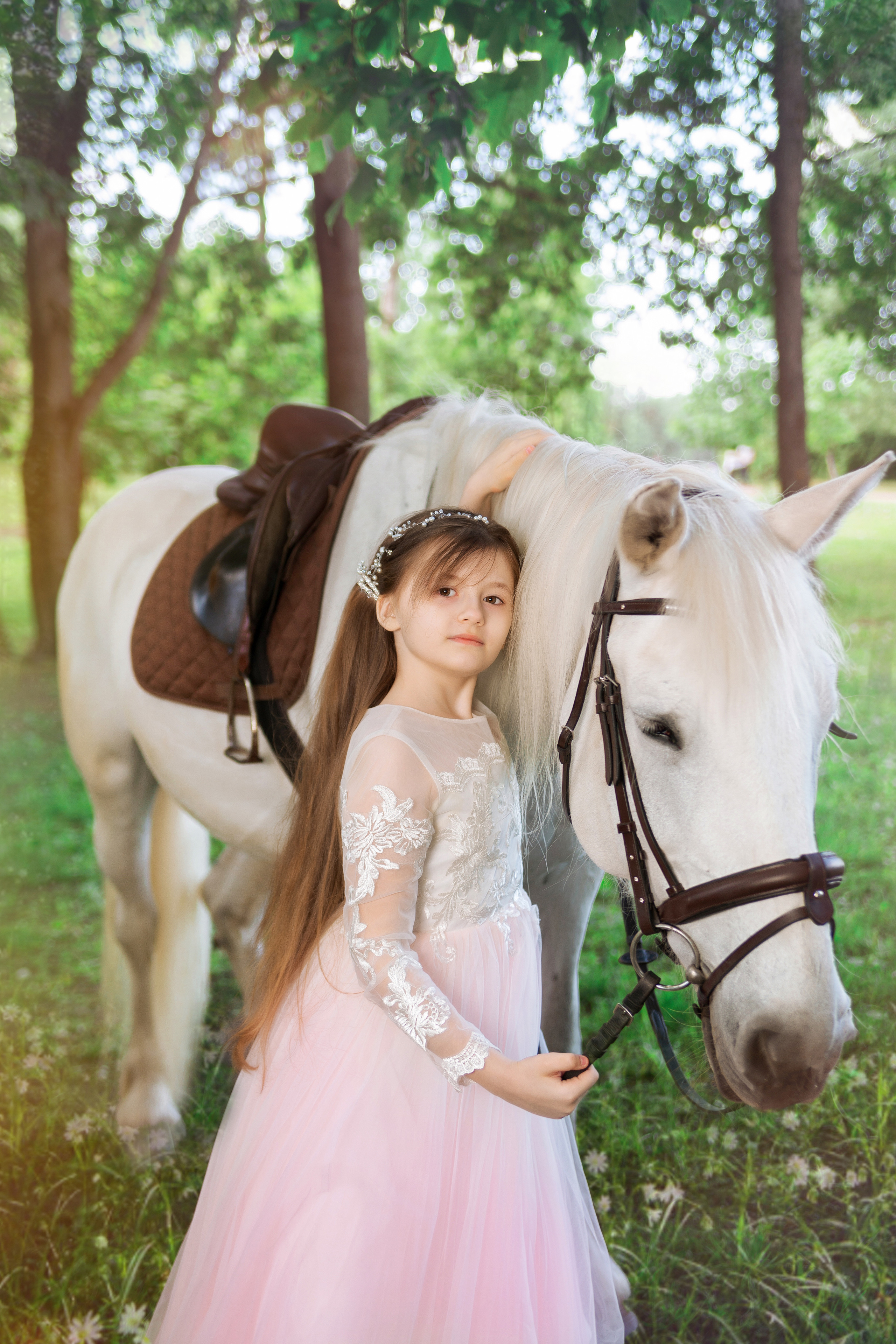 Фотопроект "Horse"