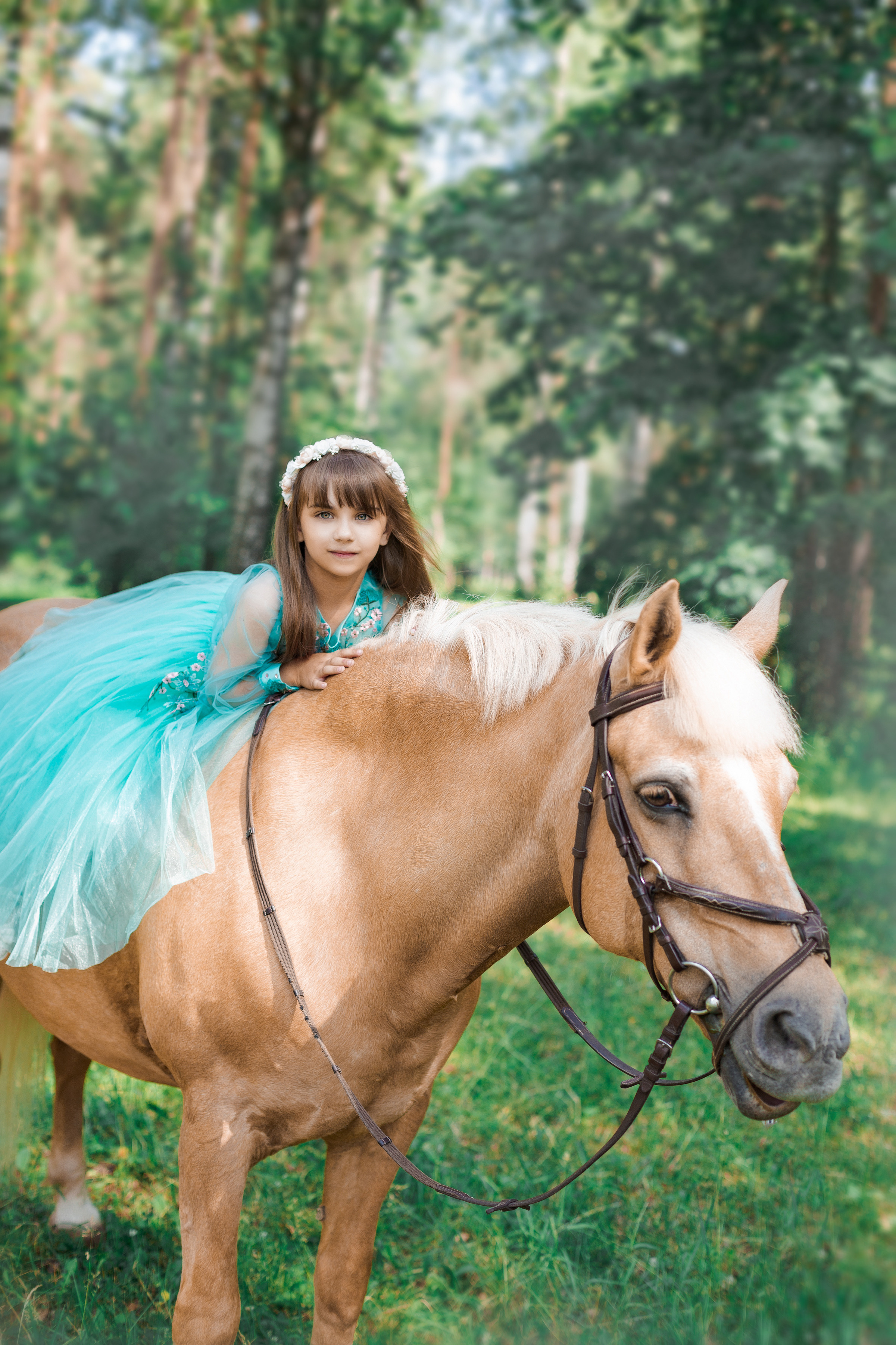 Фотопроект "Horse"