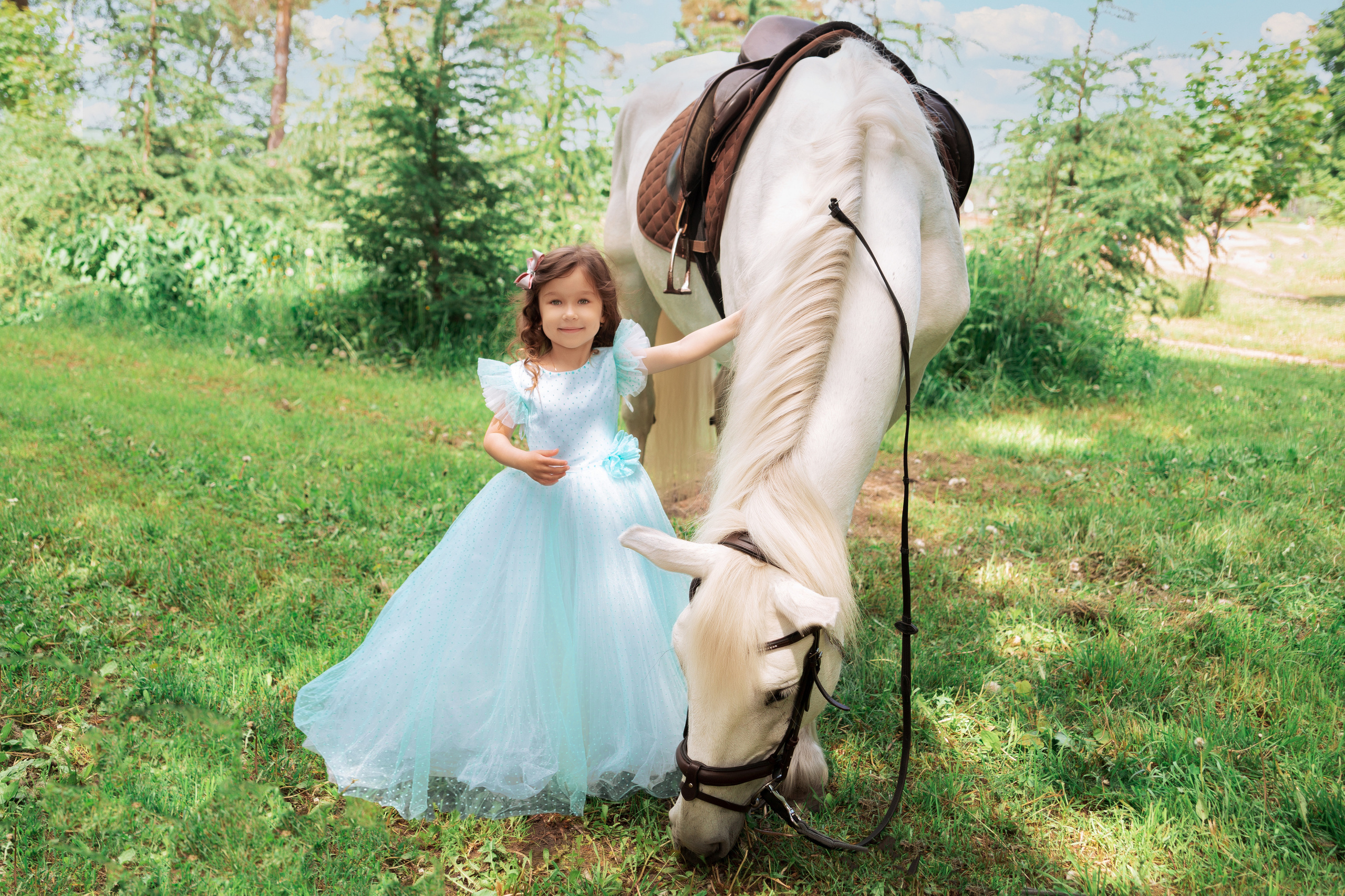 Фотопроект "Horse"