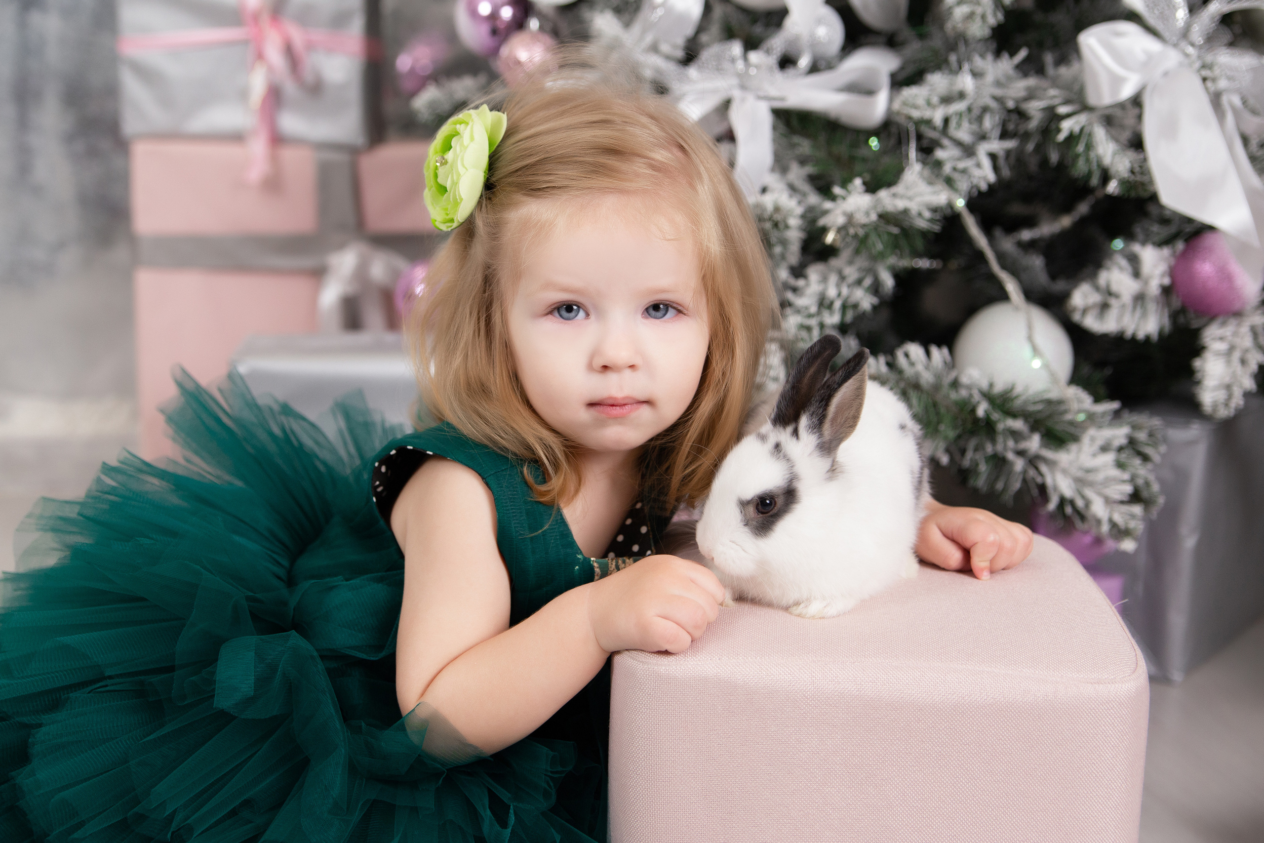 Фотопроект "Новый год для принцесс"