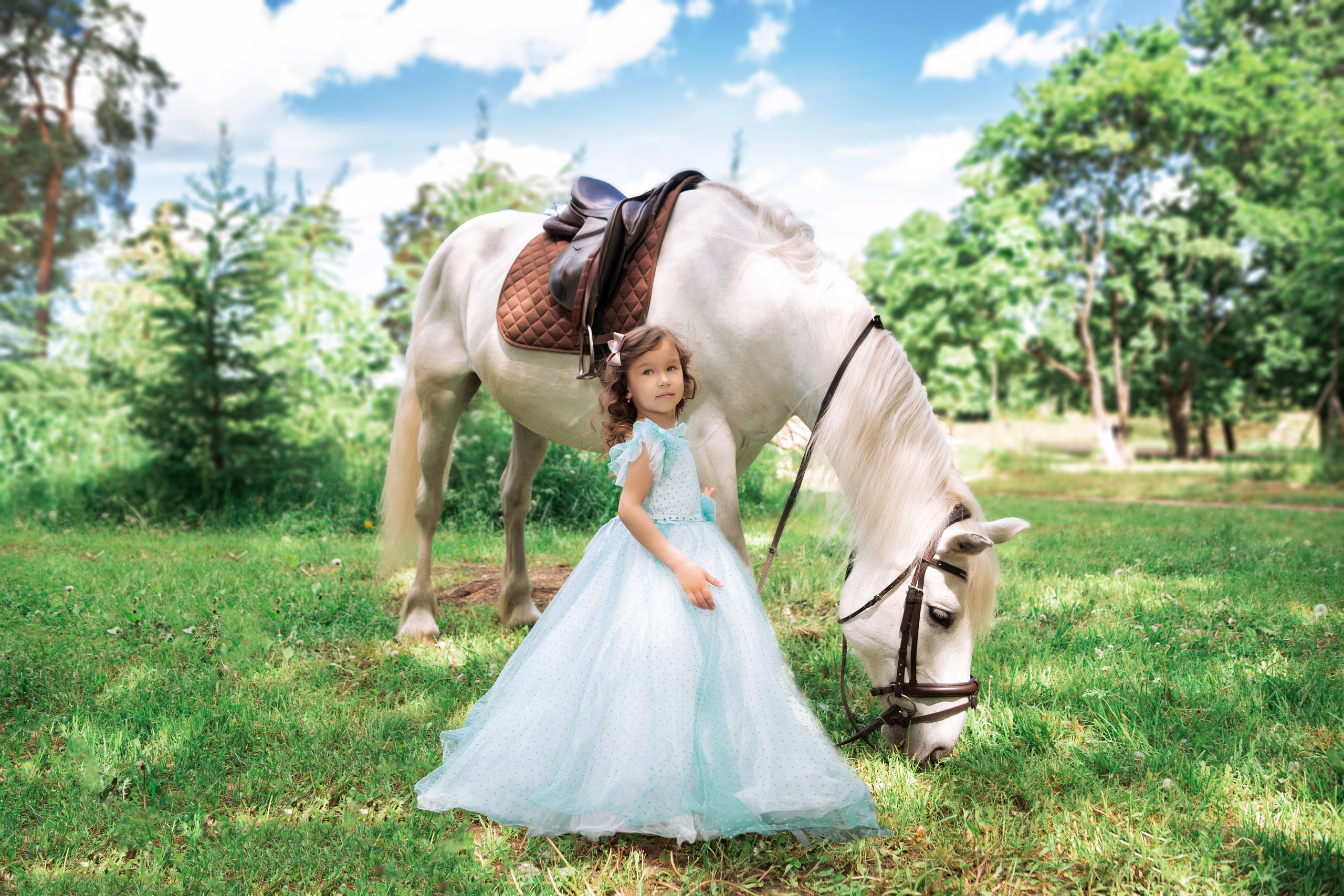 Фотопроект "Horse"