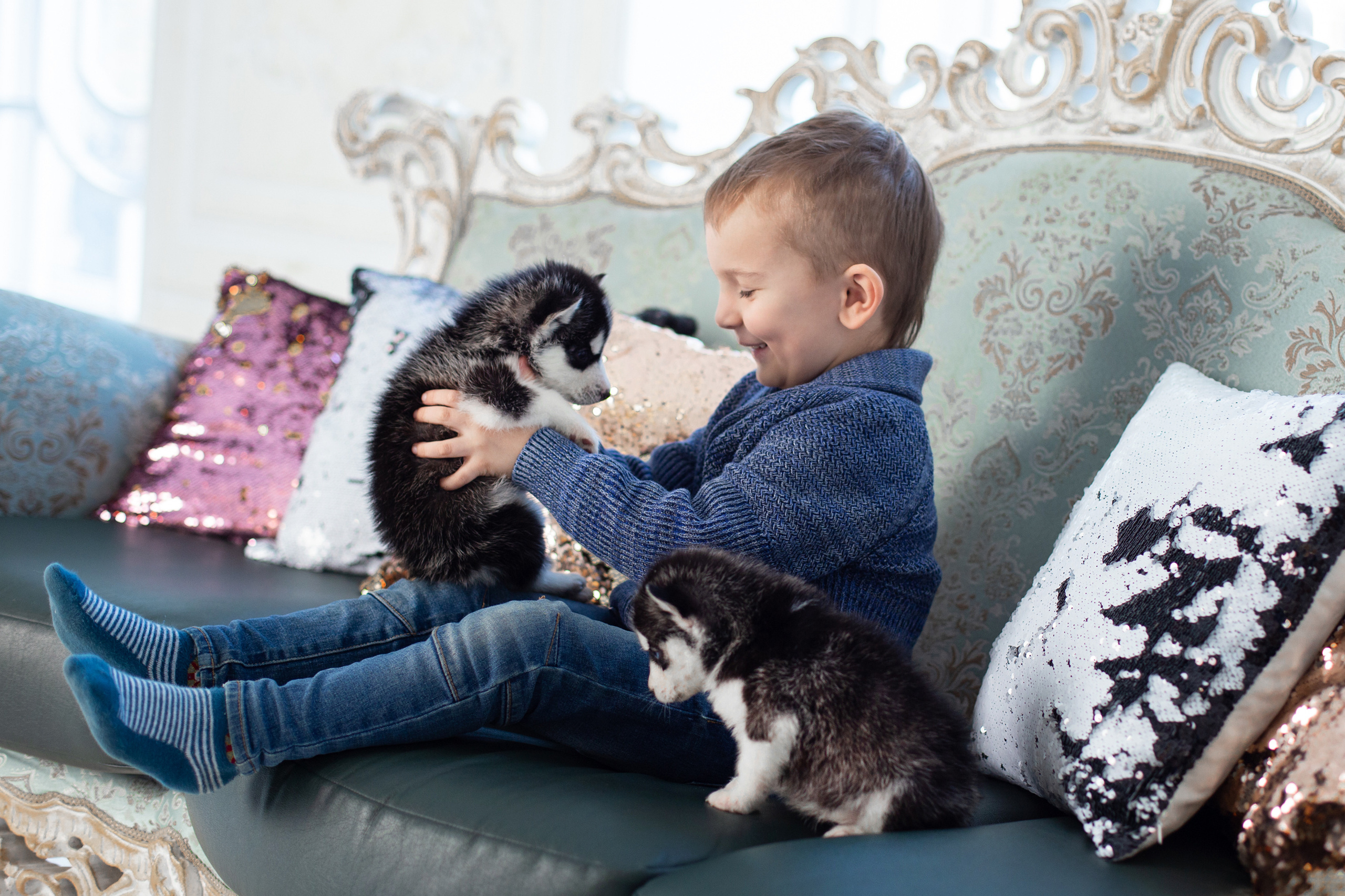 Фотопроект "Хаски" с Татьяной