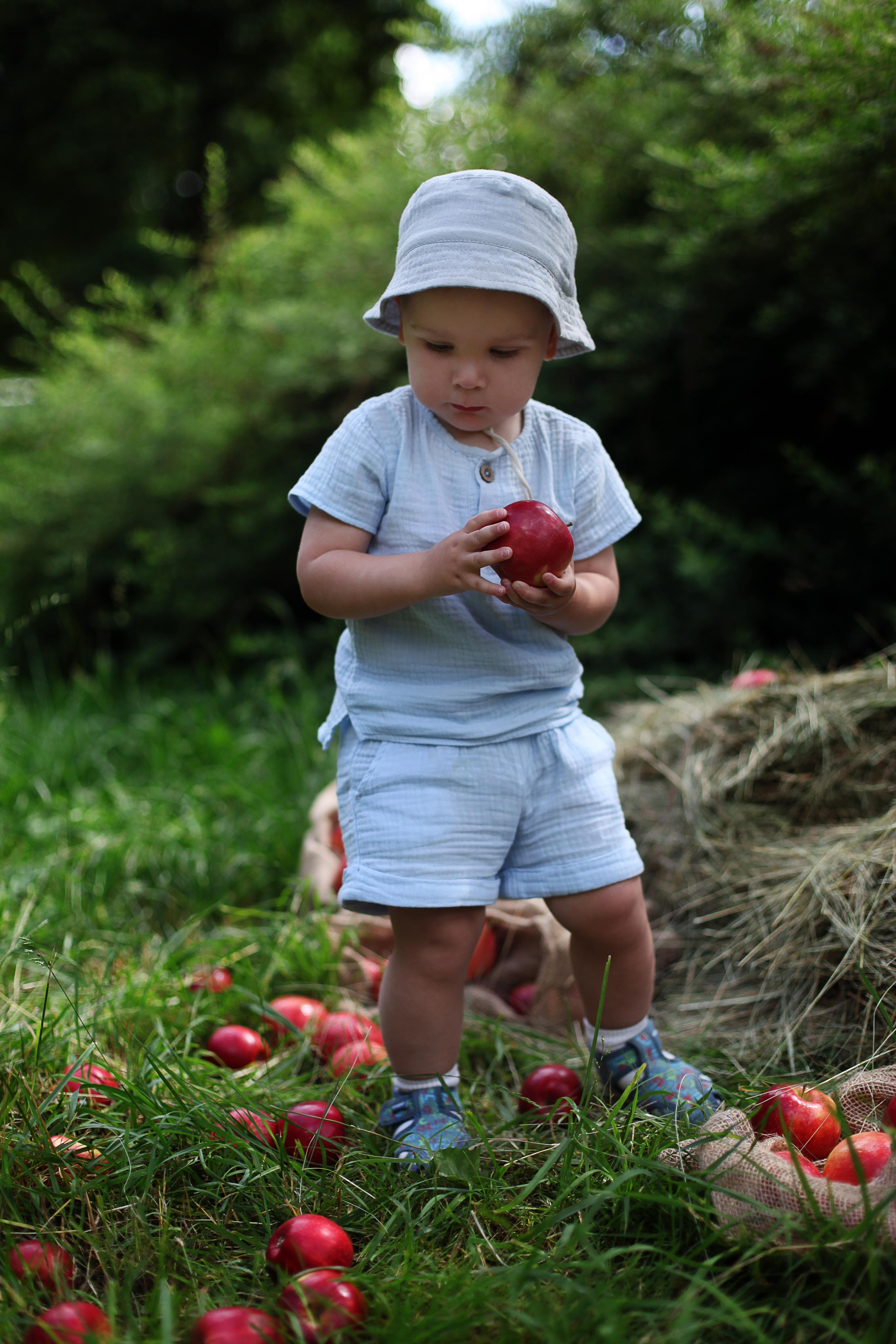 Фотопроект "Яблочки"