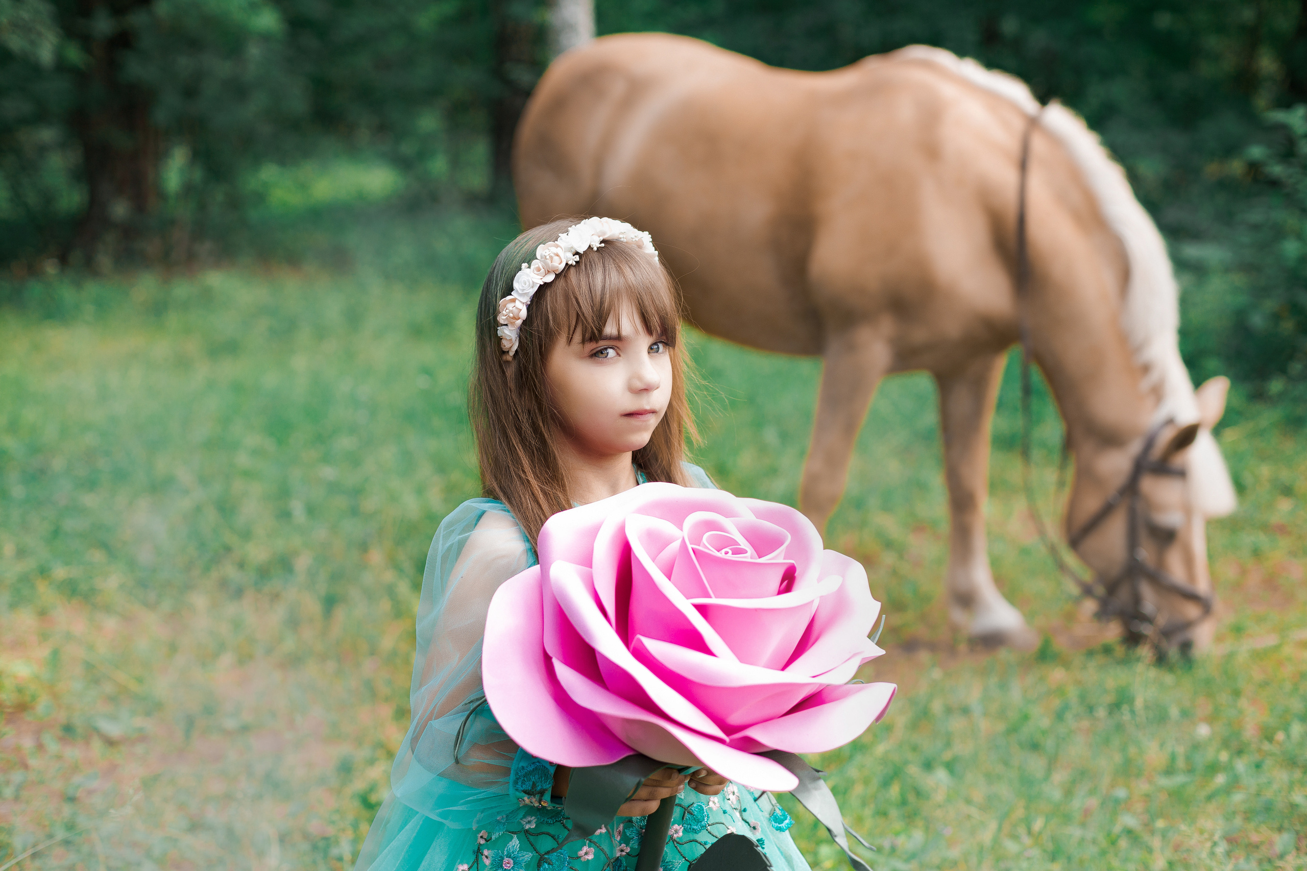 Фотопроект "Horse"