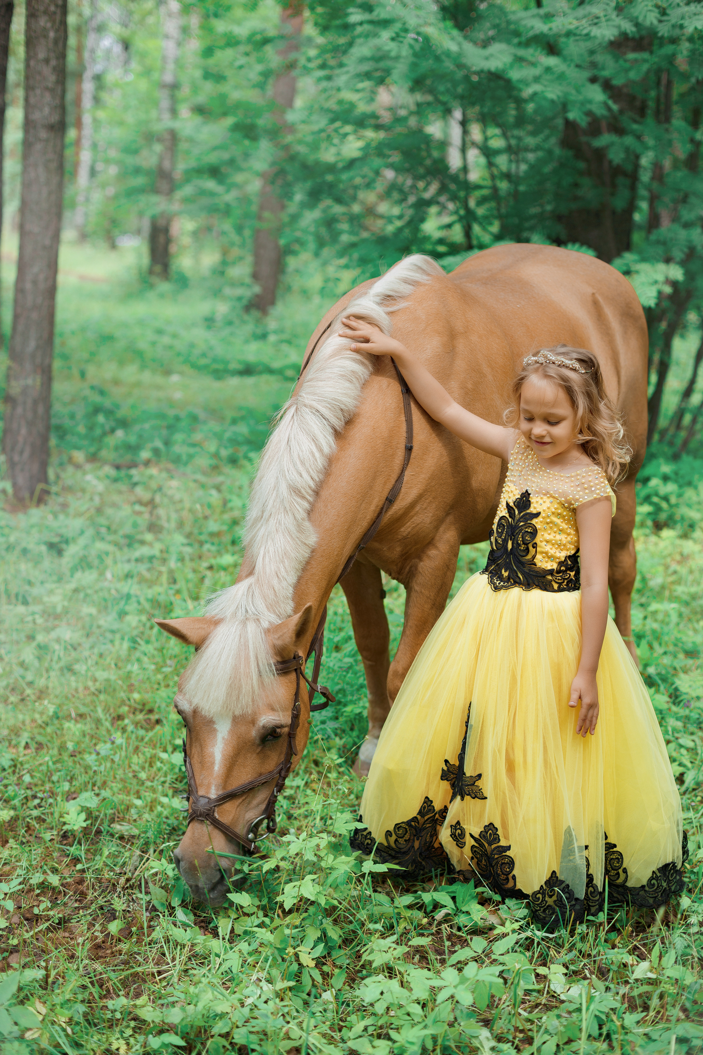 Фотопроект "Horse"