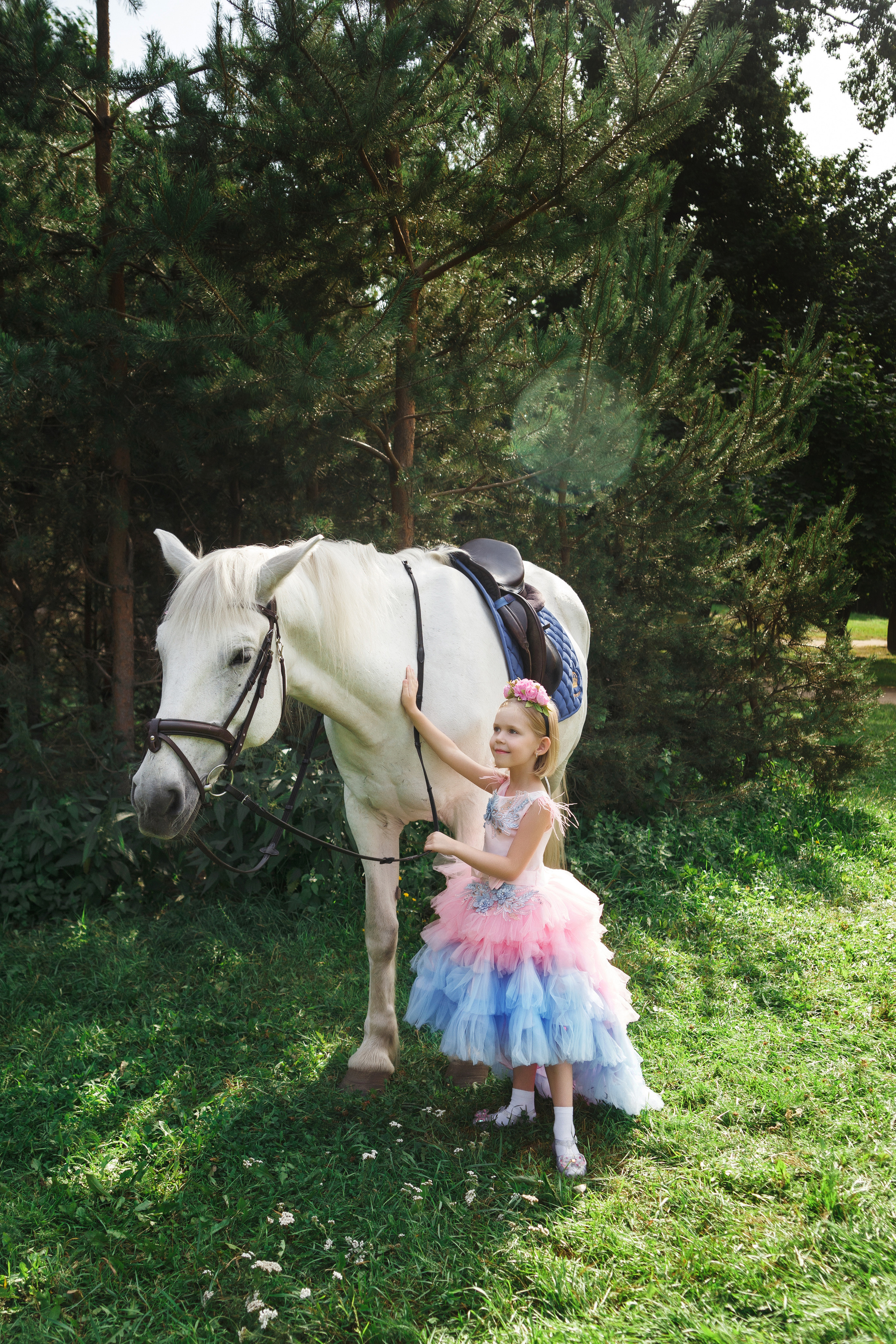 Фотопроект "Horse"