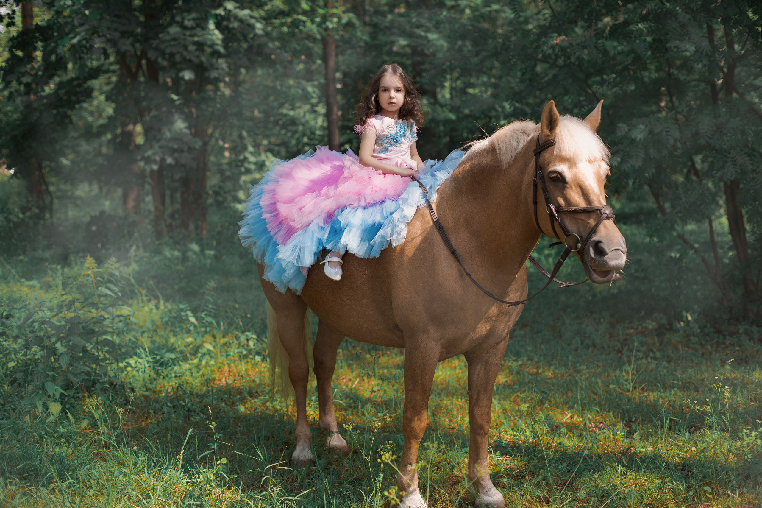 Фотопроект "Horse"