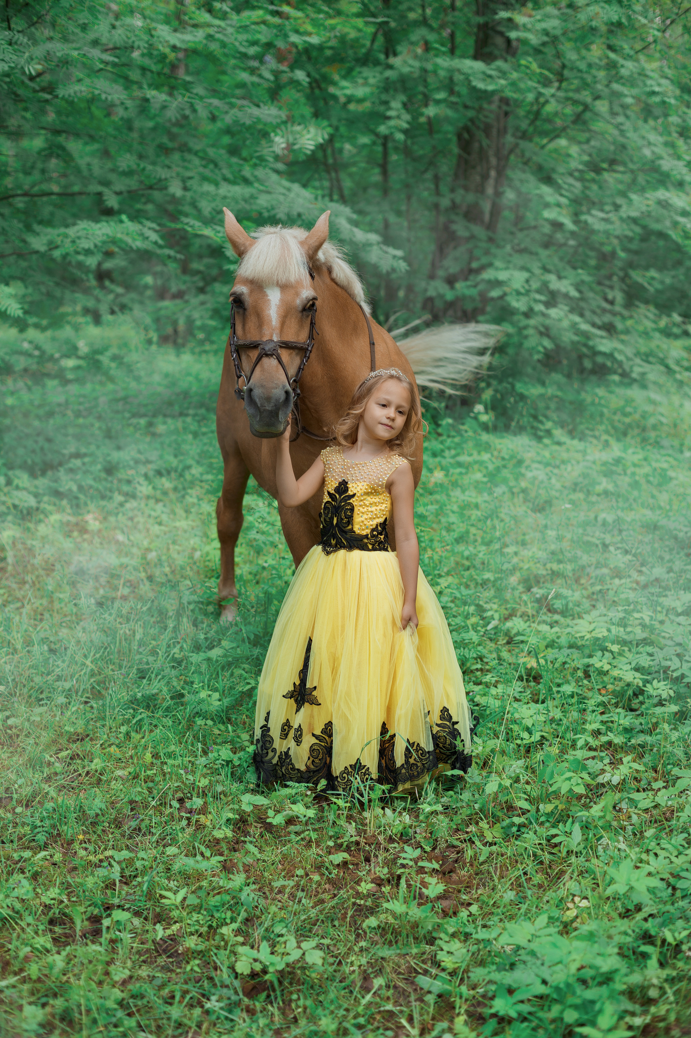 Фотопроект "Horse"