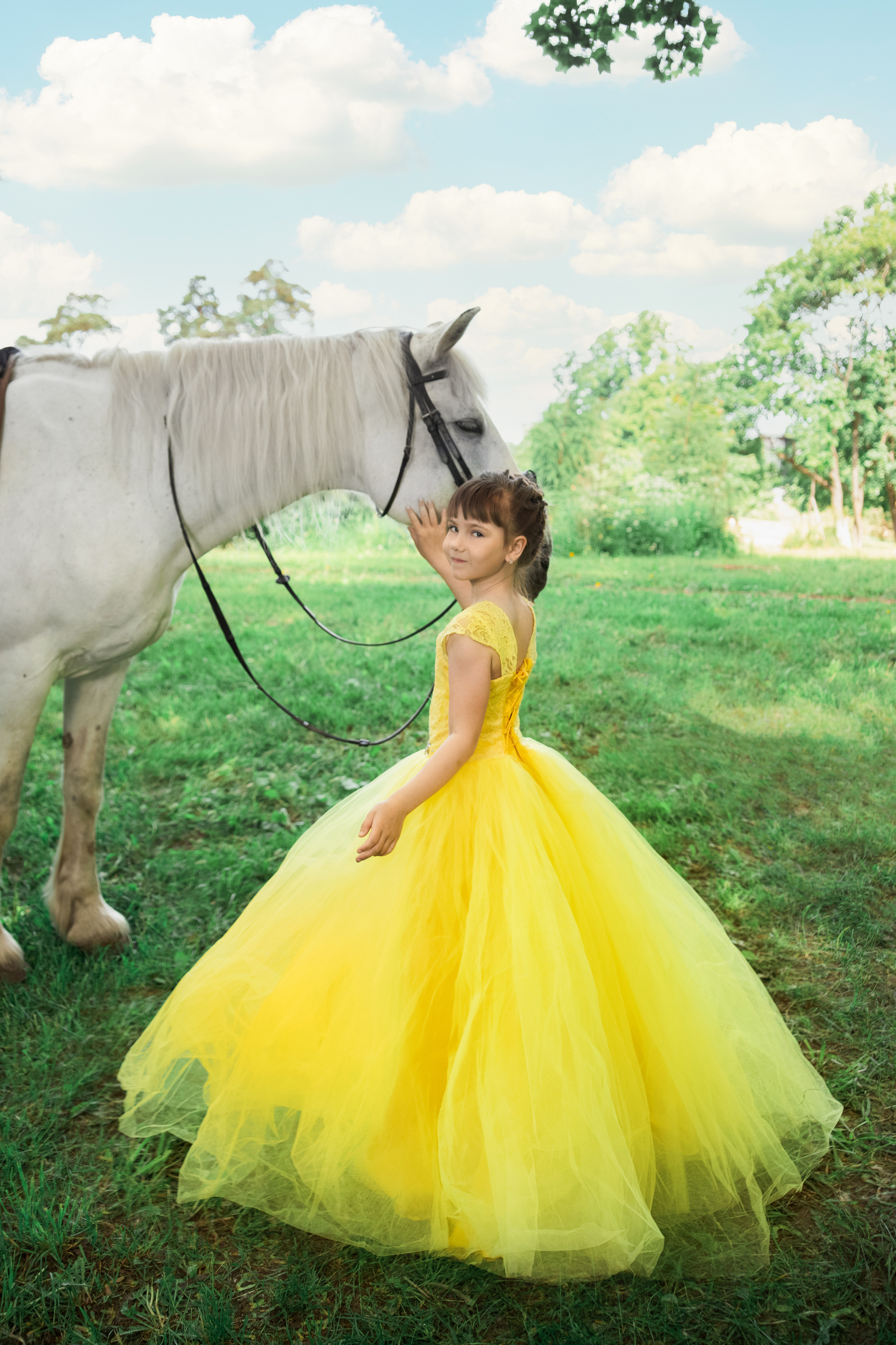 Фотопроект "Horse"