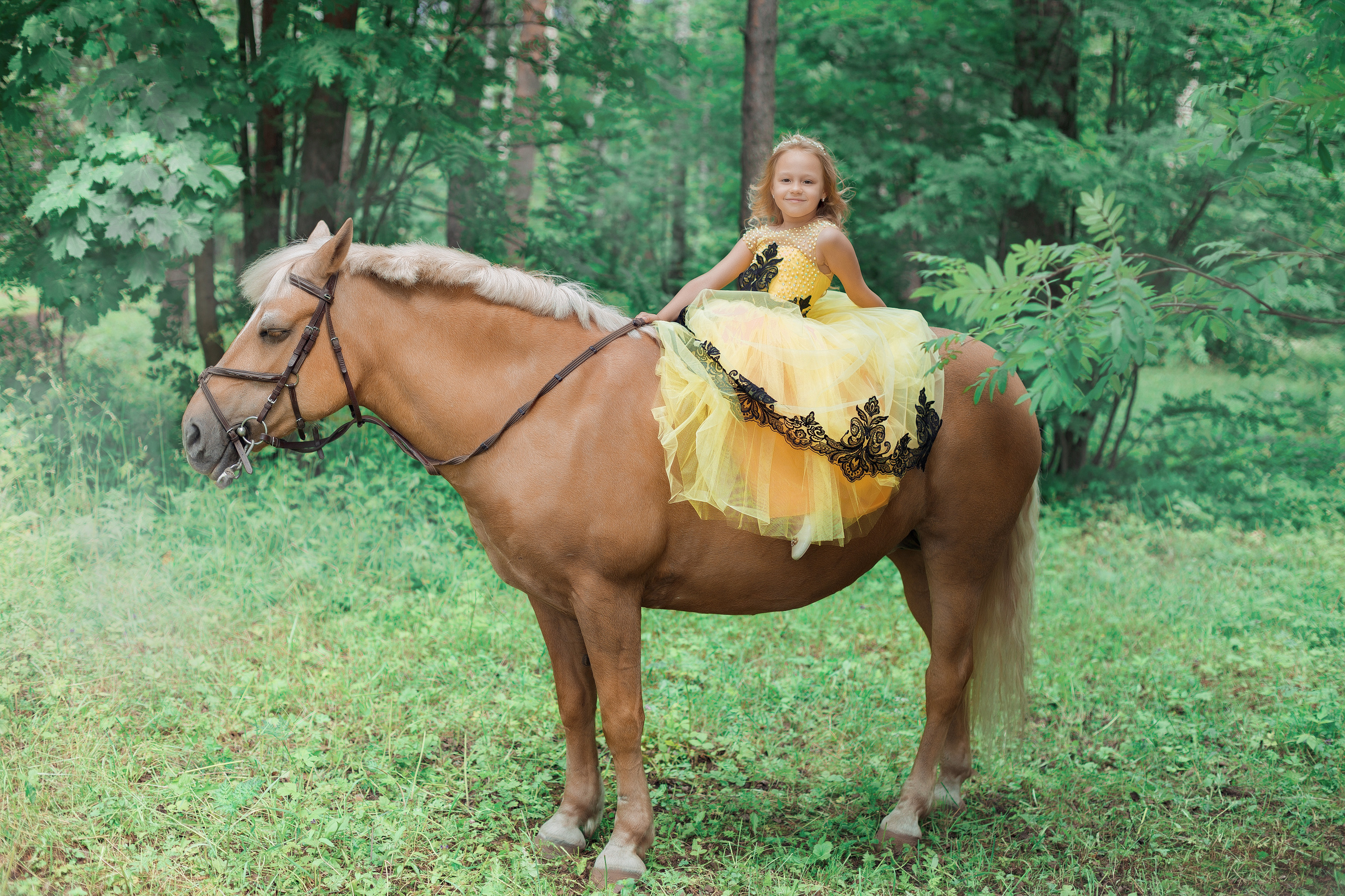 Фотопроект "Horse"