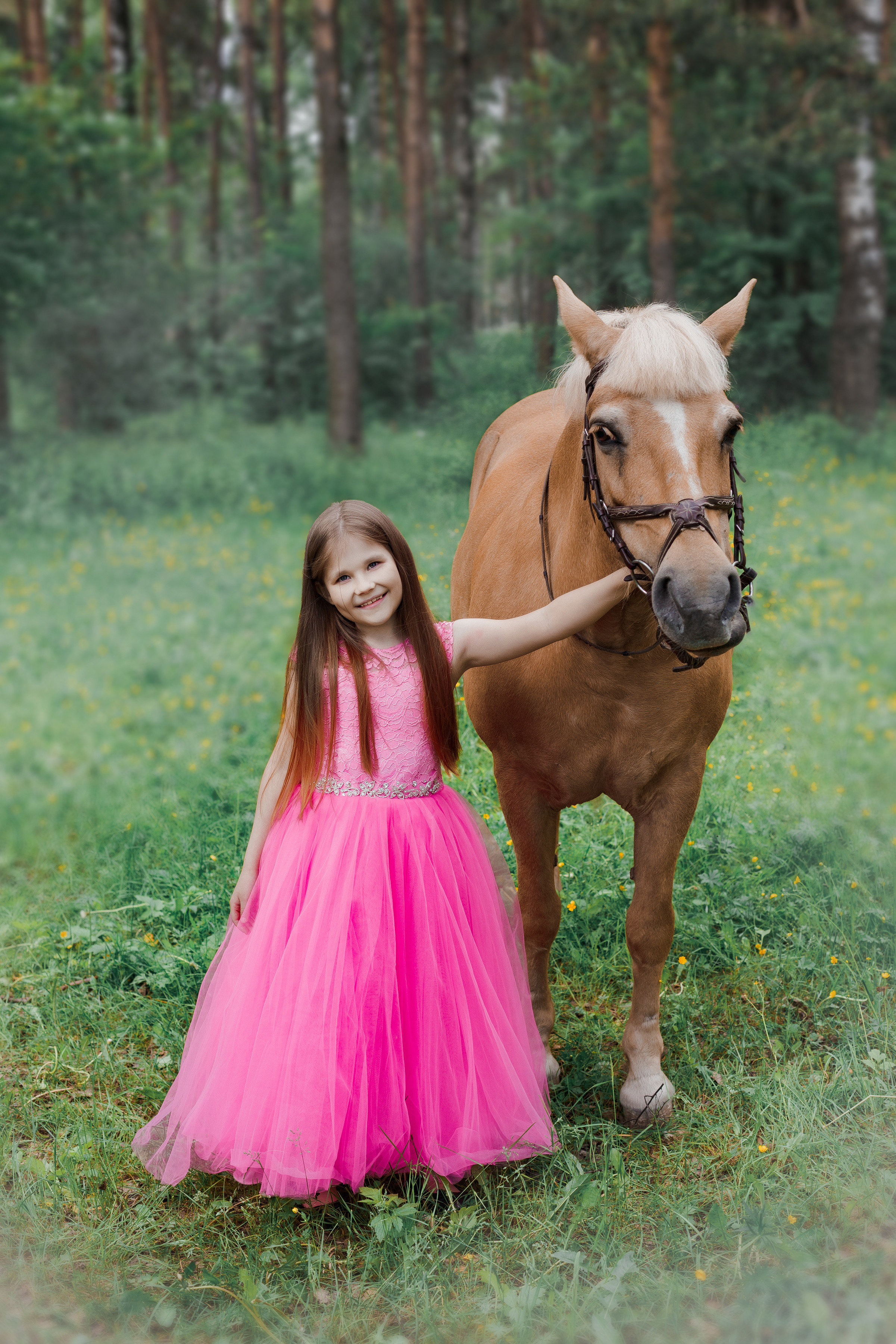 Фотопроект "Horse"