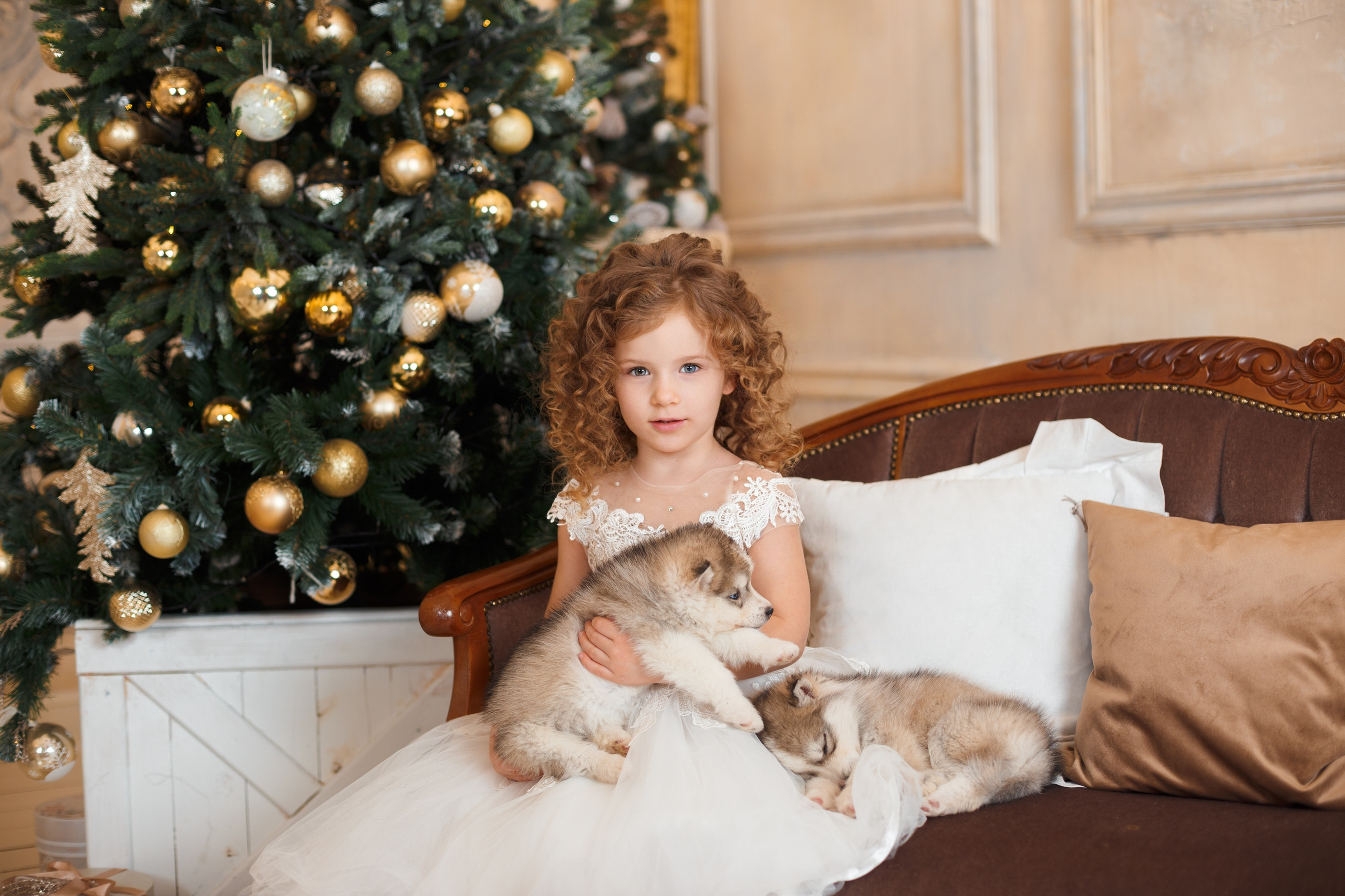 Фотопроект "Хаски" с Татьяной