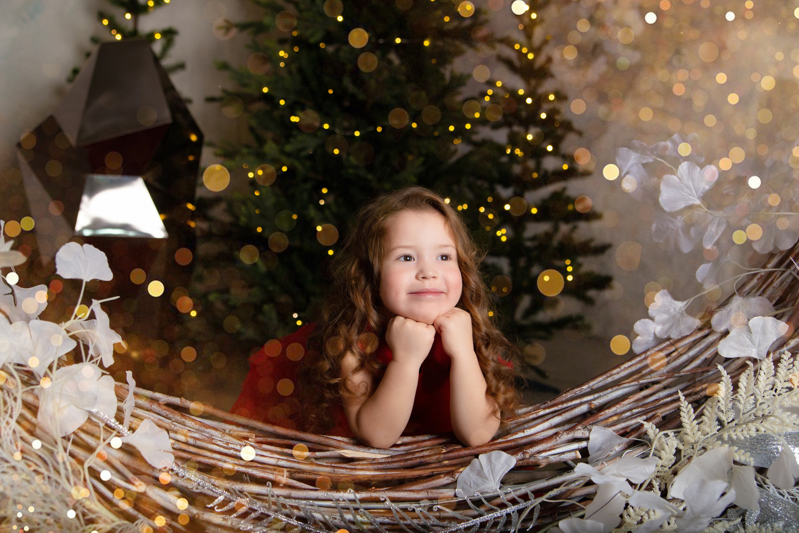 Фотопроект "Волшебный Новый год"