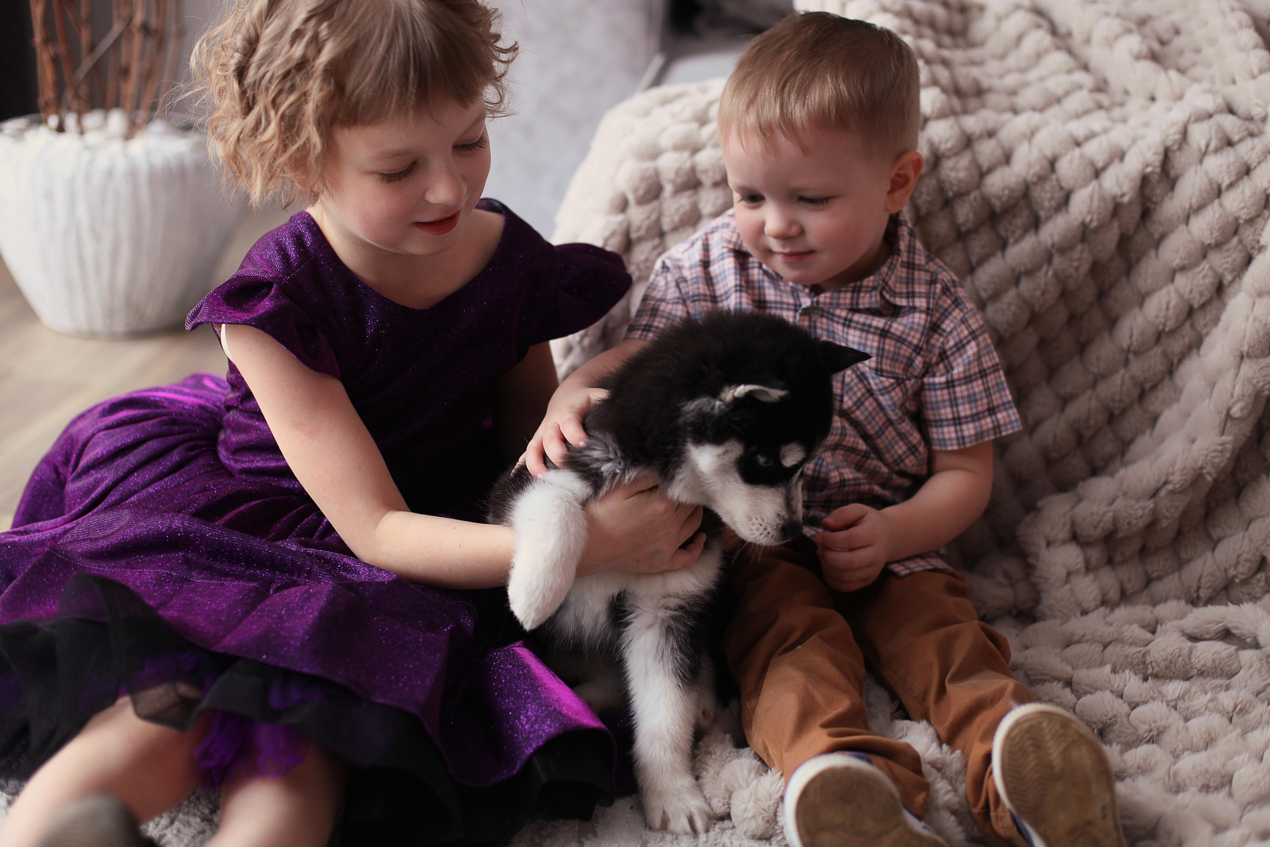 Фотопроект "Хаски" с Татьяной