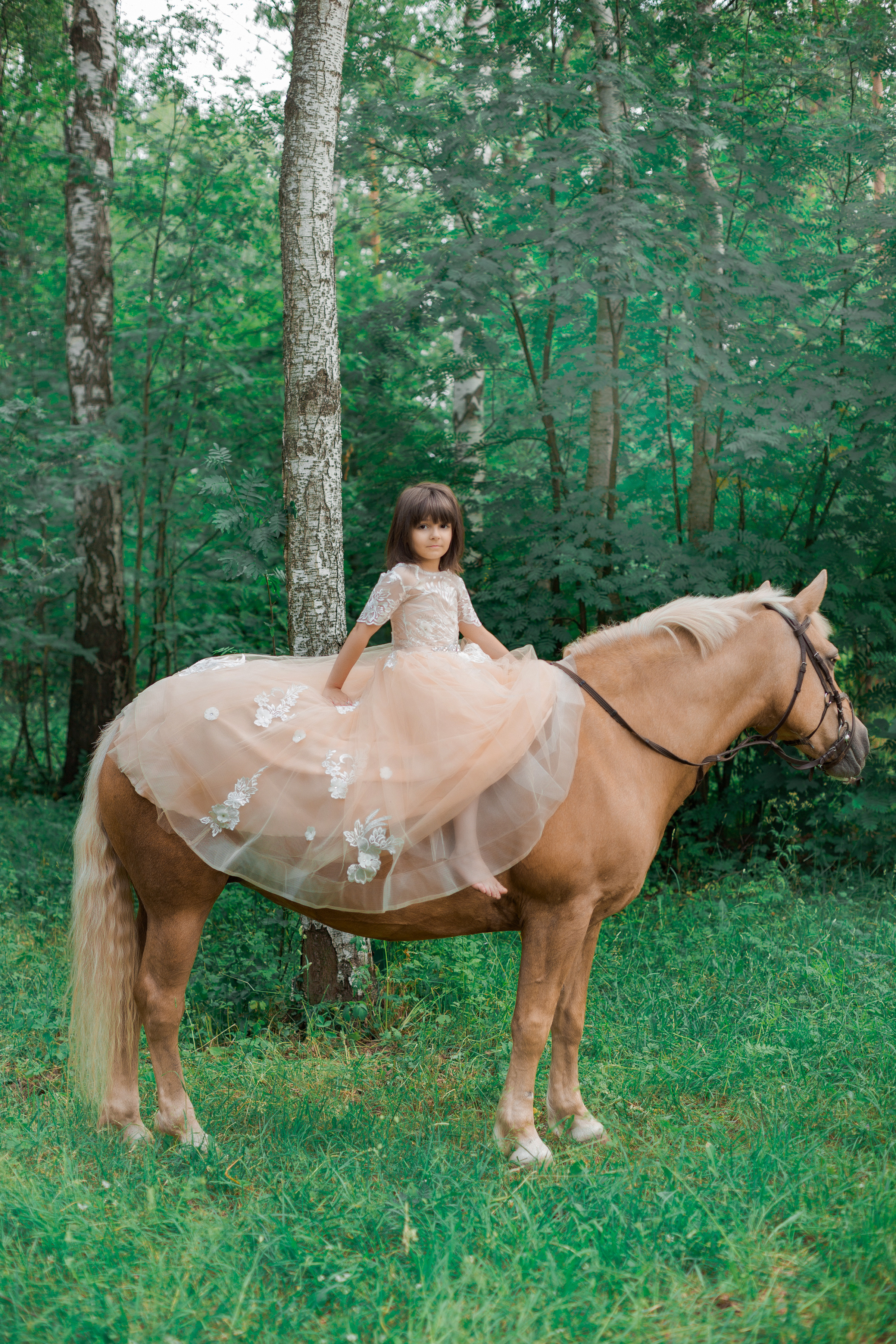 Фотопроект "Horse"