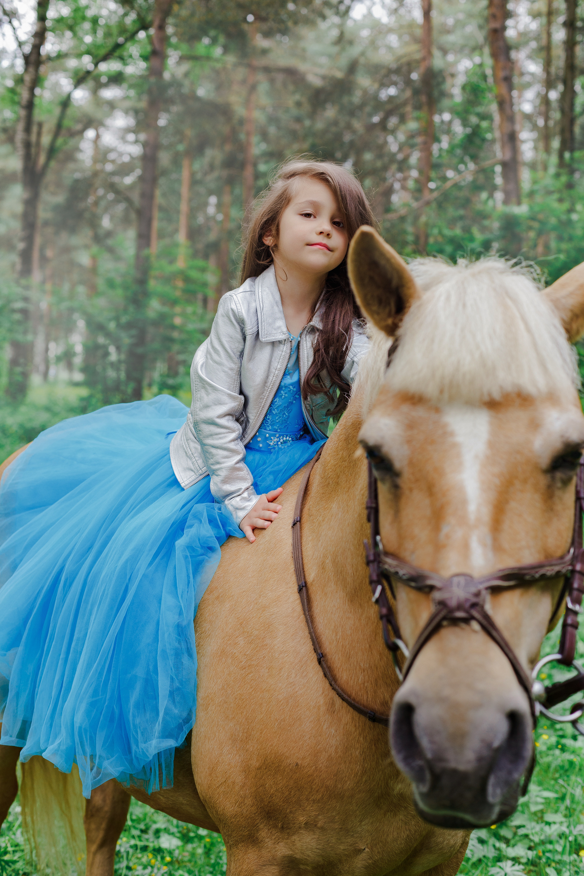 Фотопроект "Horse"