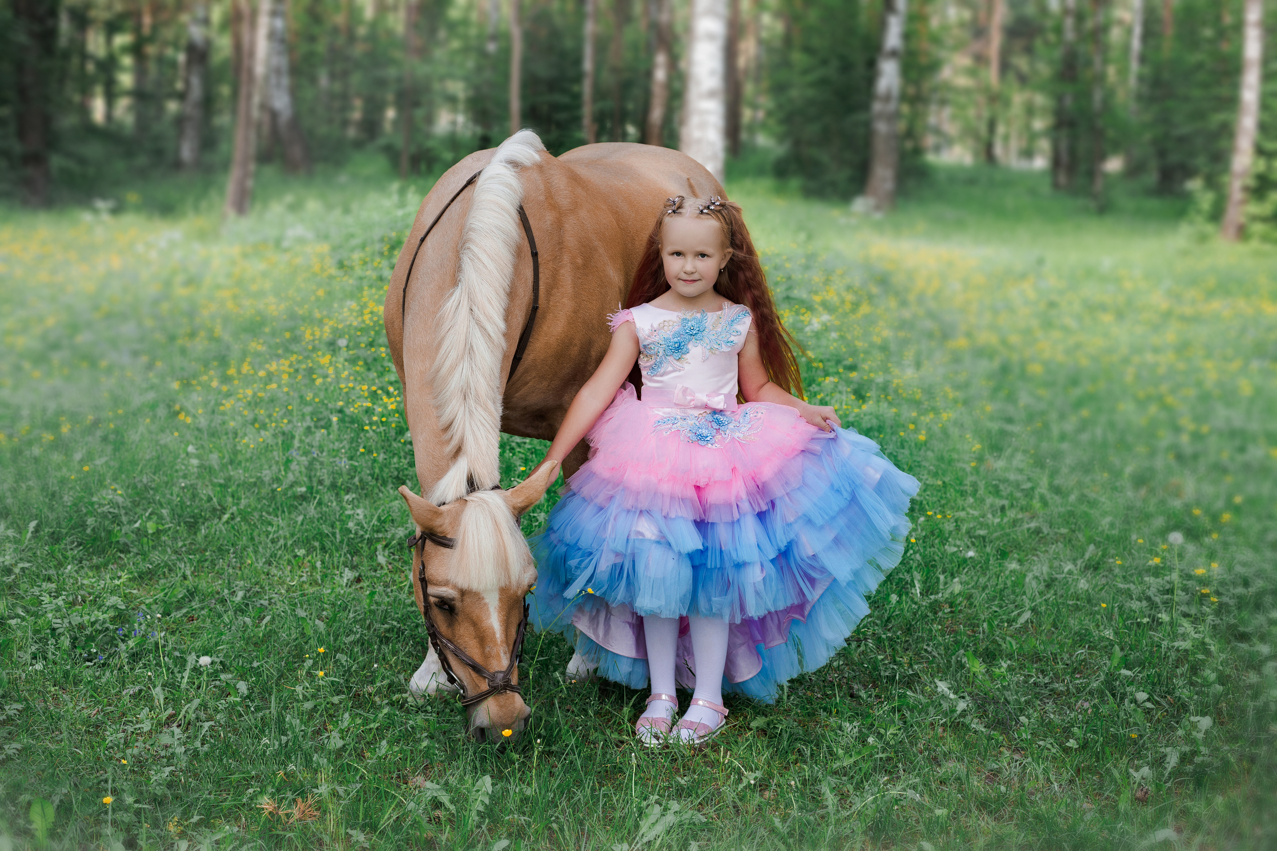 Фотопроект "Horse"