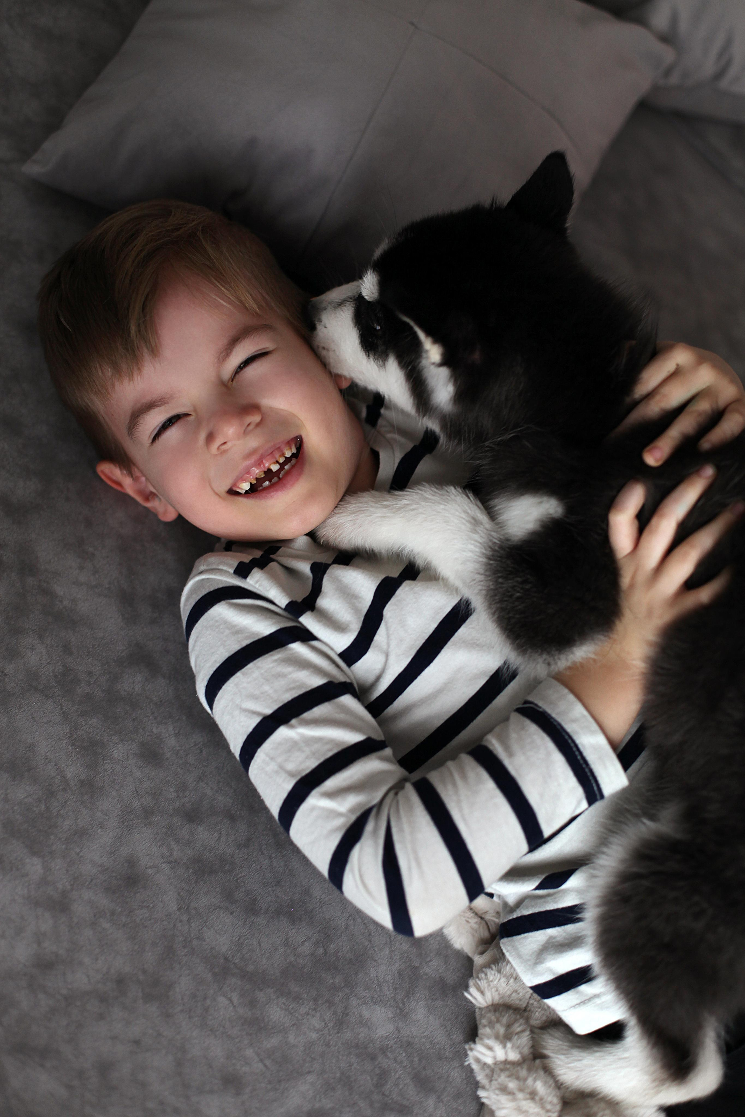 Фотопроект "Хаски" с Татьяной