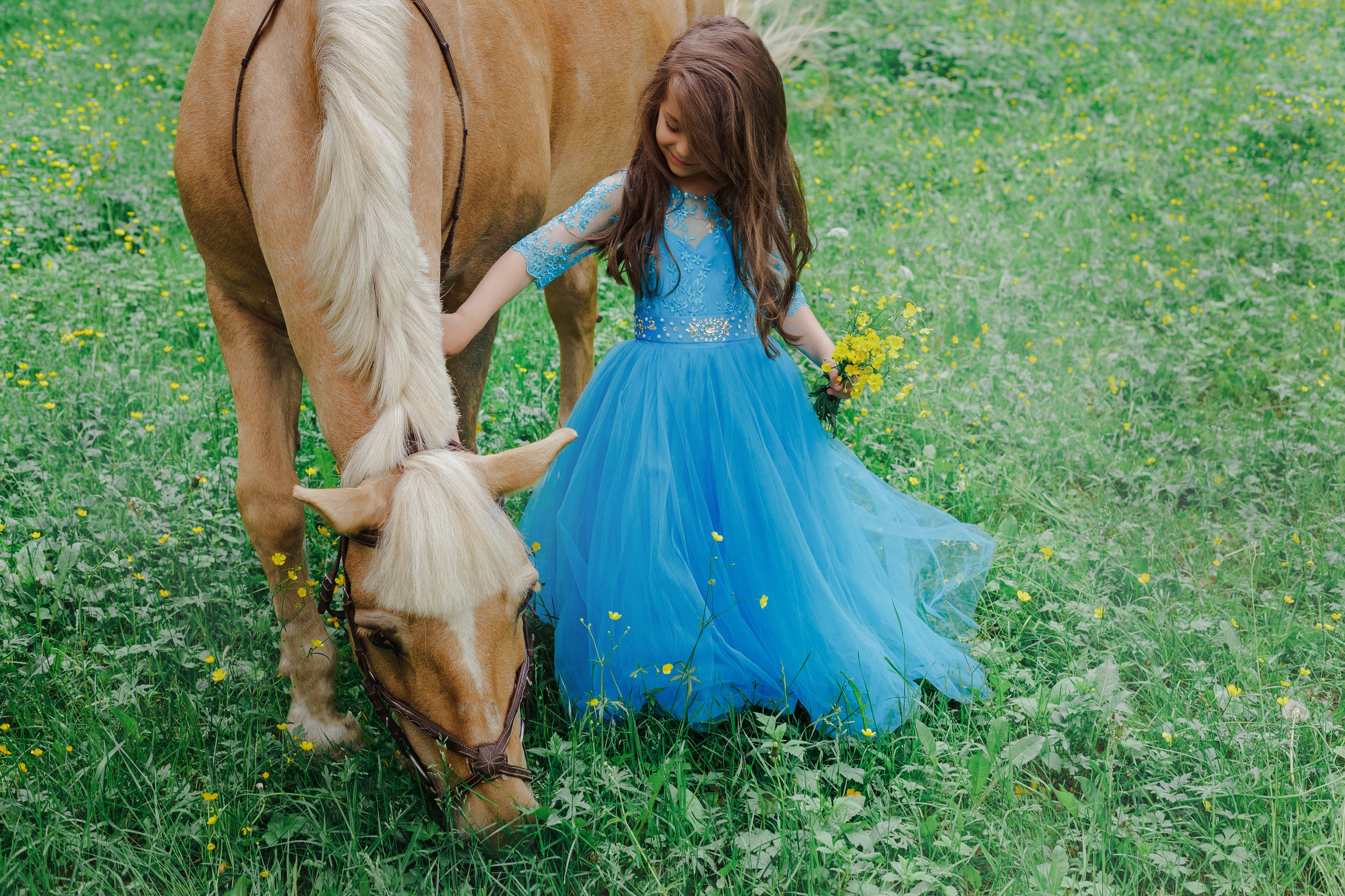 Фотопроект "Horse"