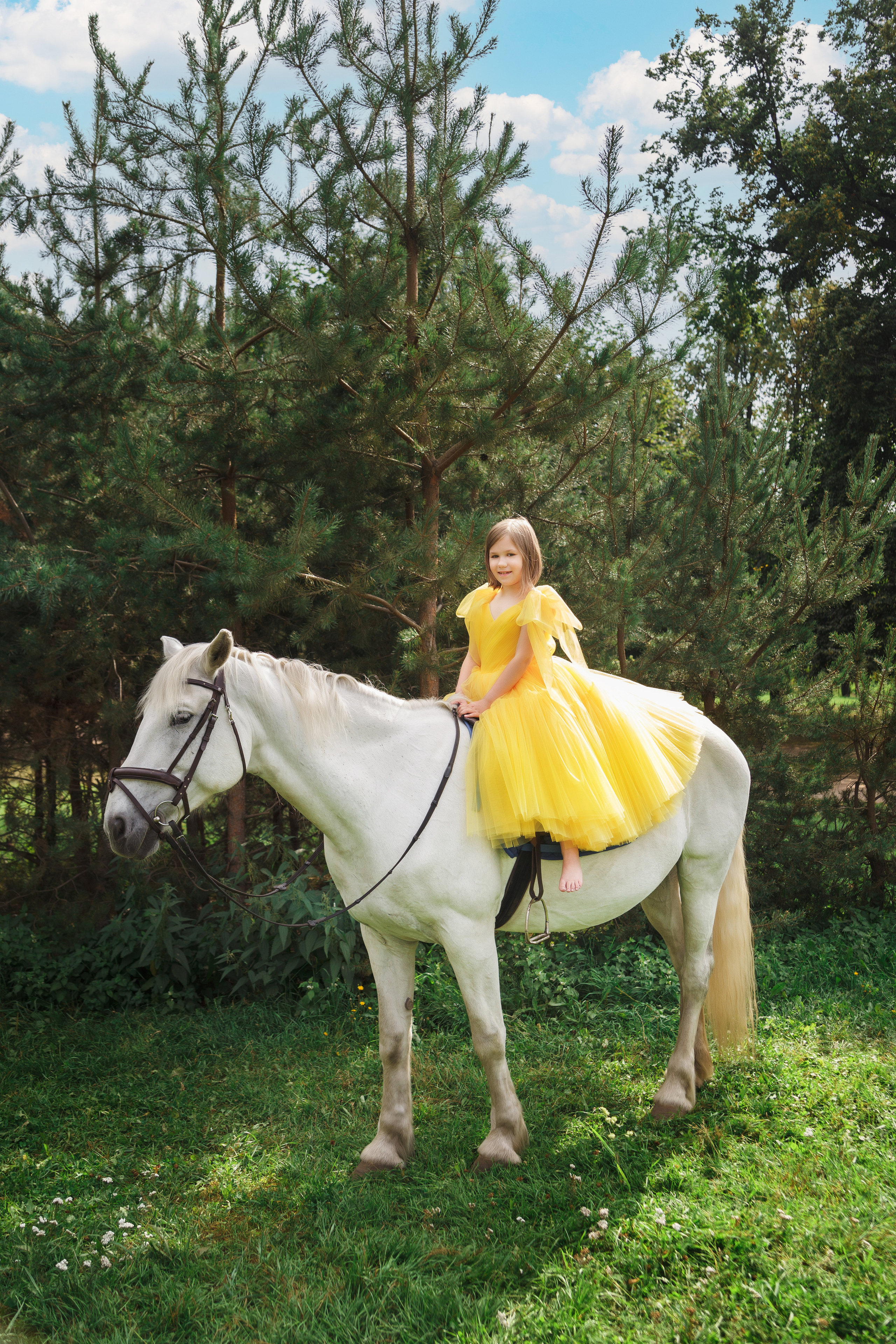 Фотопроект "Horse"